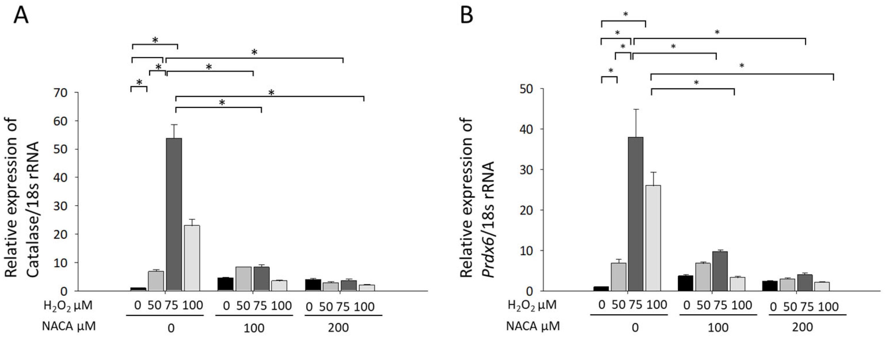 Biomolecules 15 00442 g004