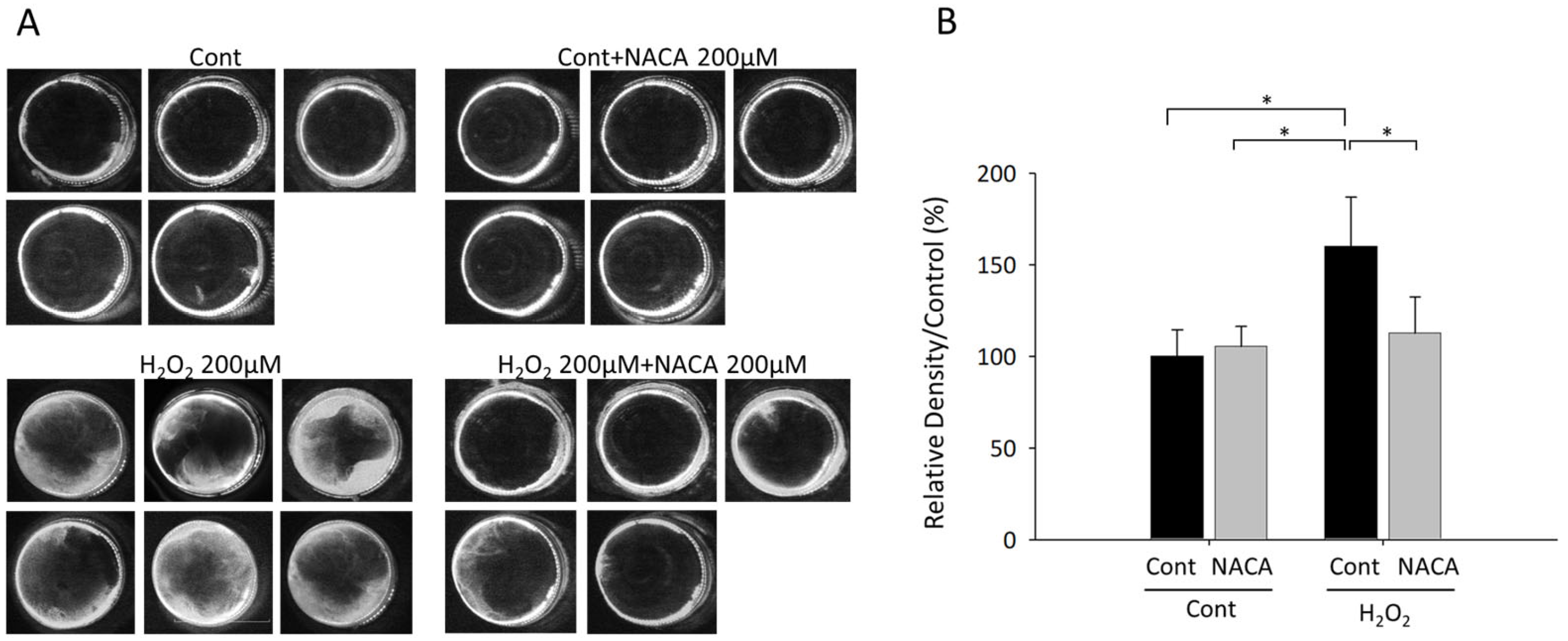 Biomolecules 15 00442 g005