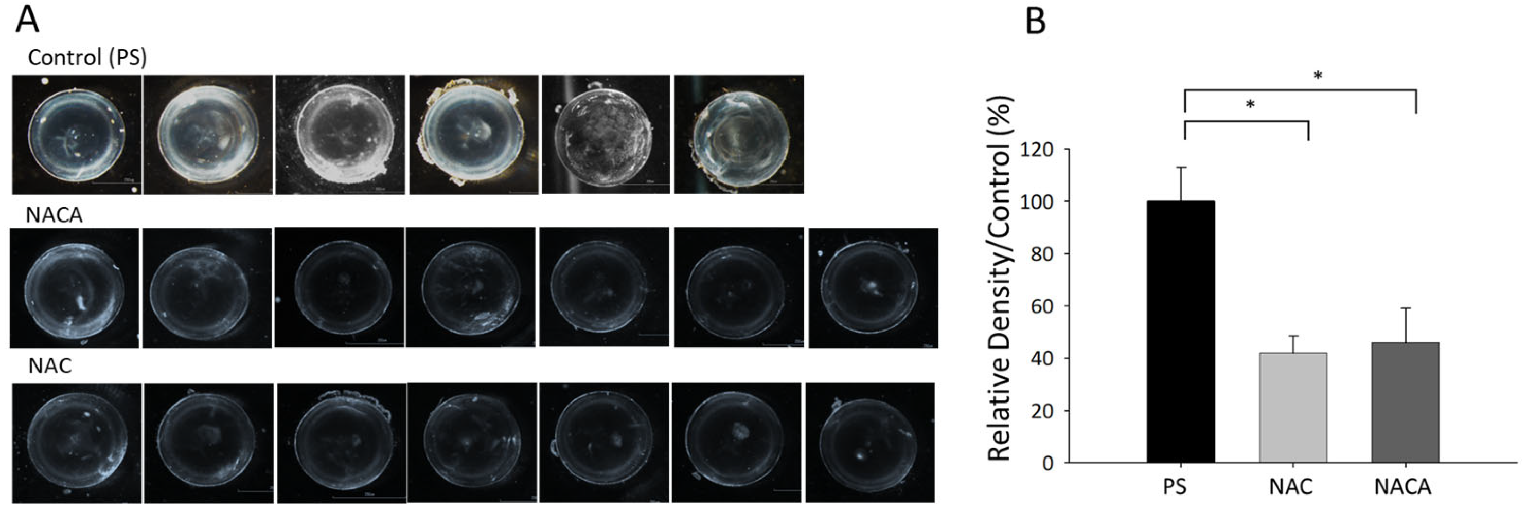 Biomolecules 15 00442 g006