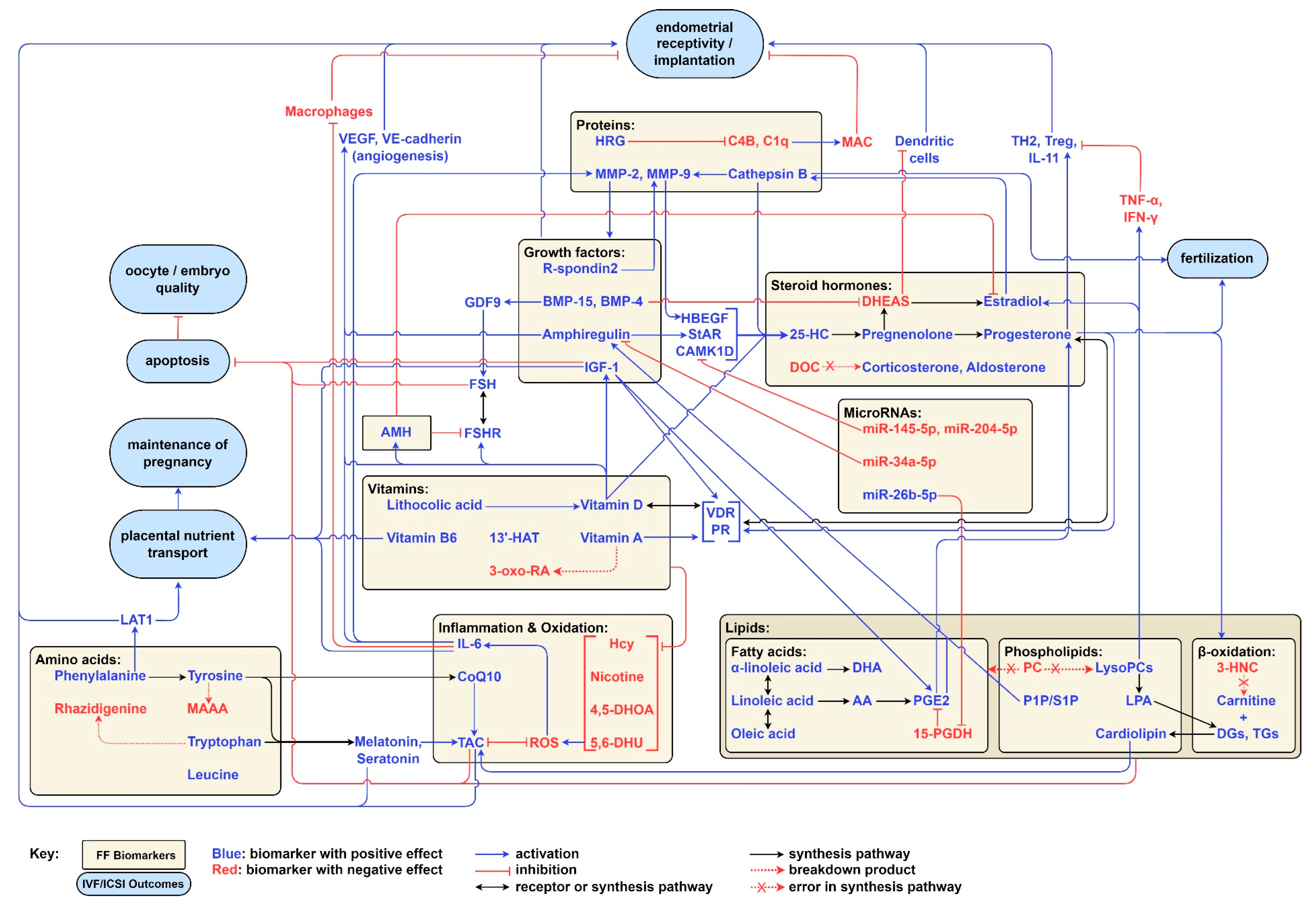 Biomolecules 15 00443 g002 Biomolecules 15 00443 g002