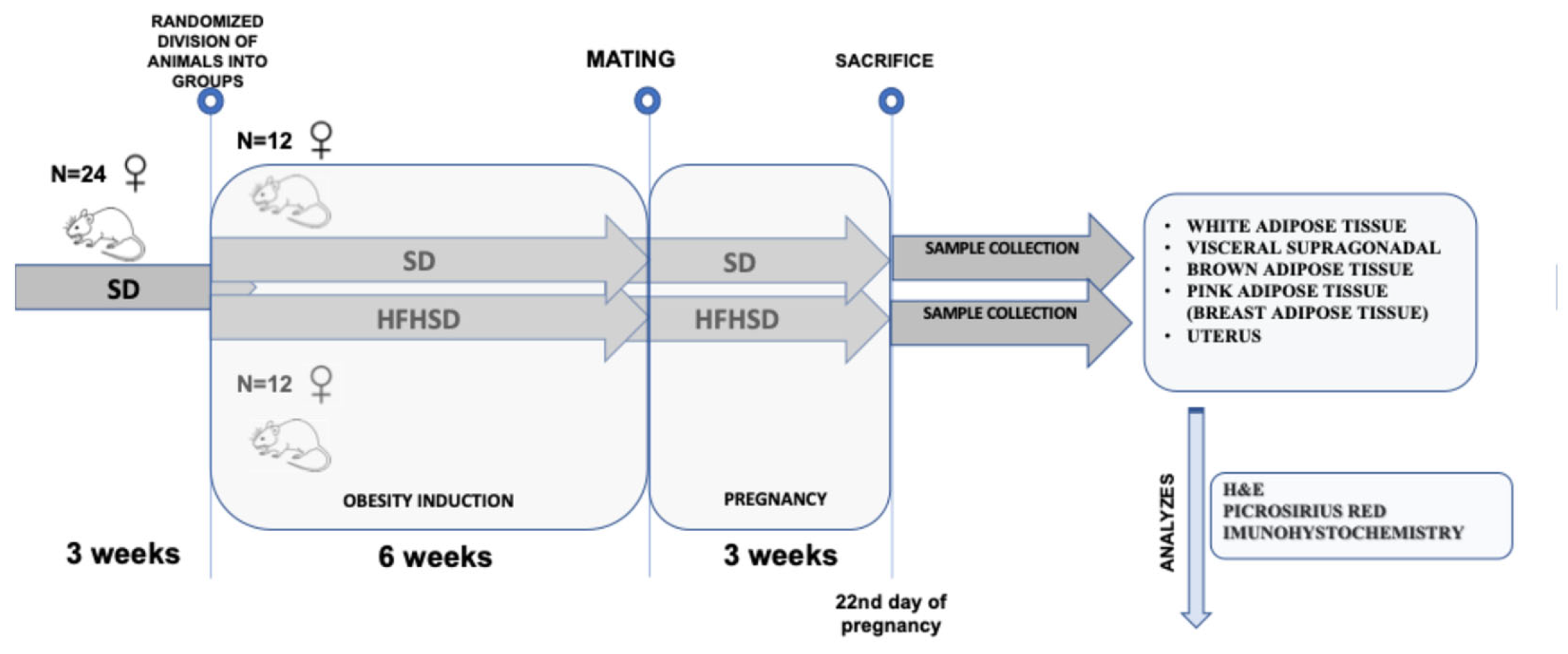 Biomolecules 15 00446 g001