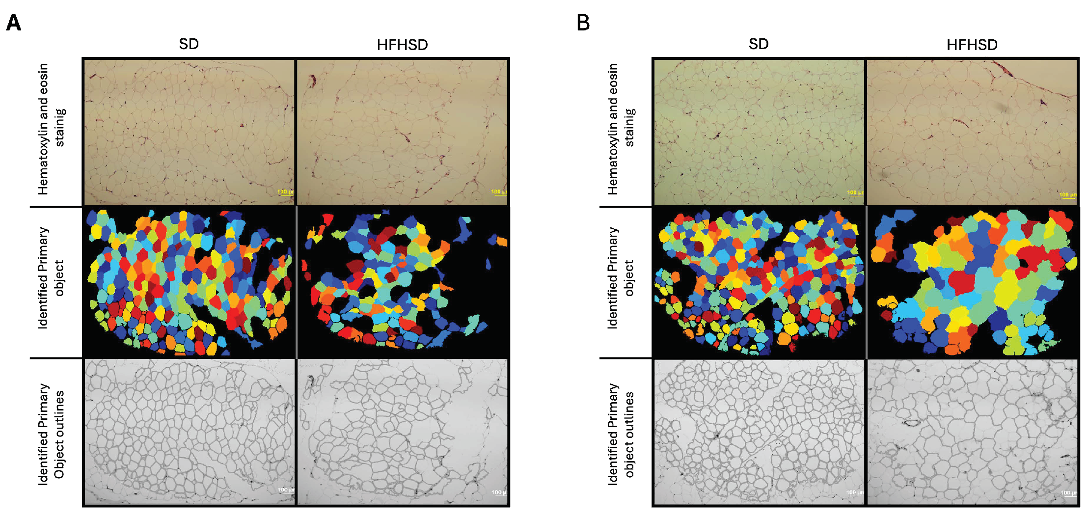 Biomolecules 15 00446 g002