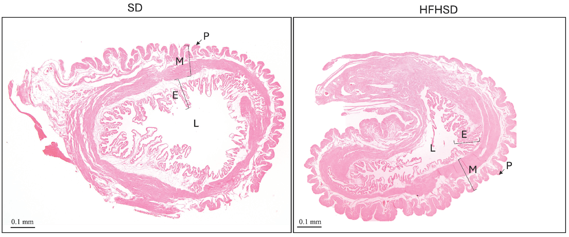 Biomolecules 15 00446 g004