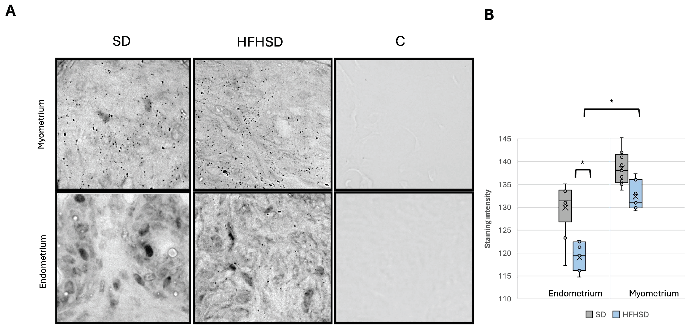 Biomolecules 15 00446 g008