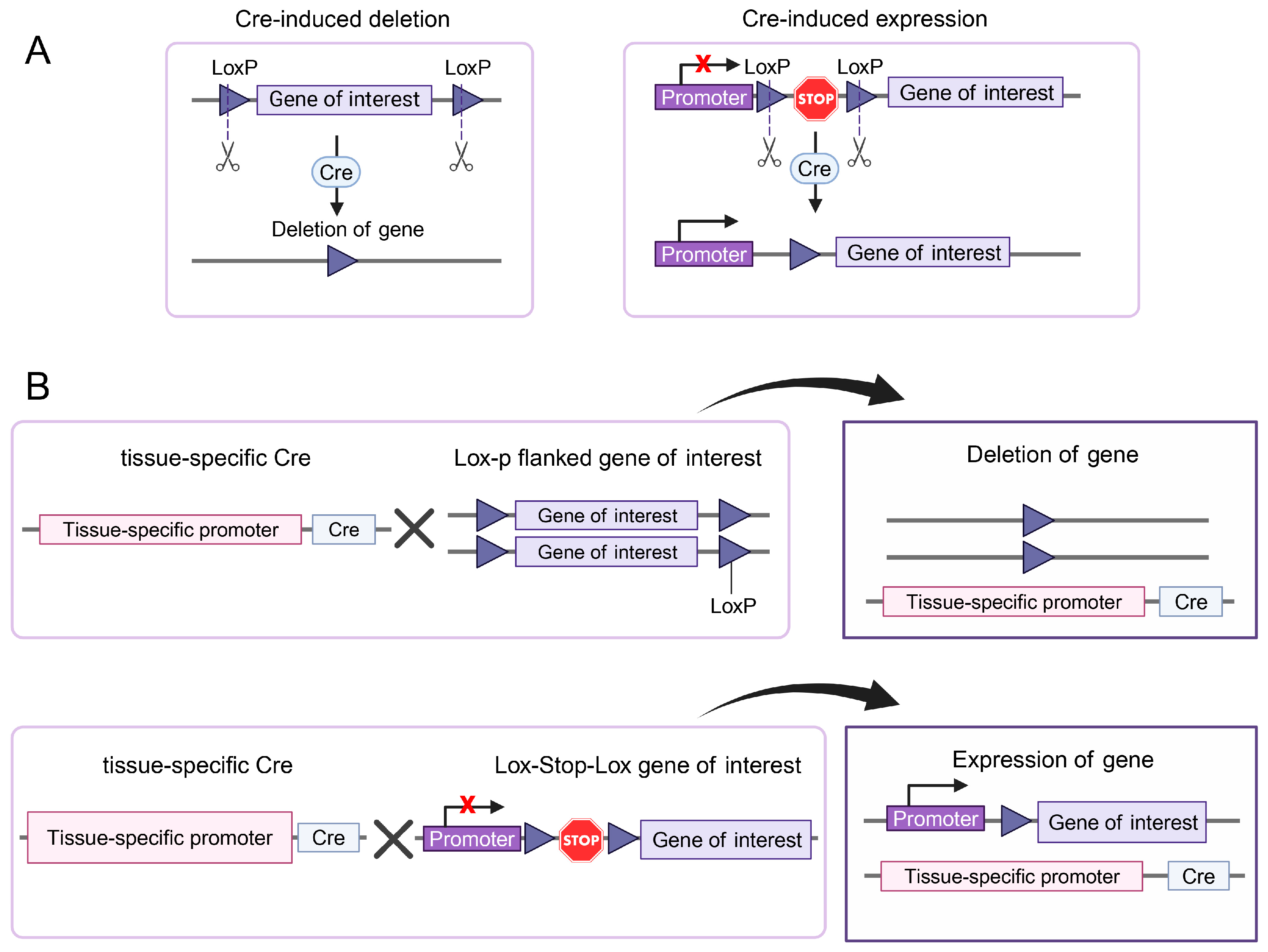 Biomolecules 15 00450 g001