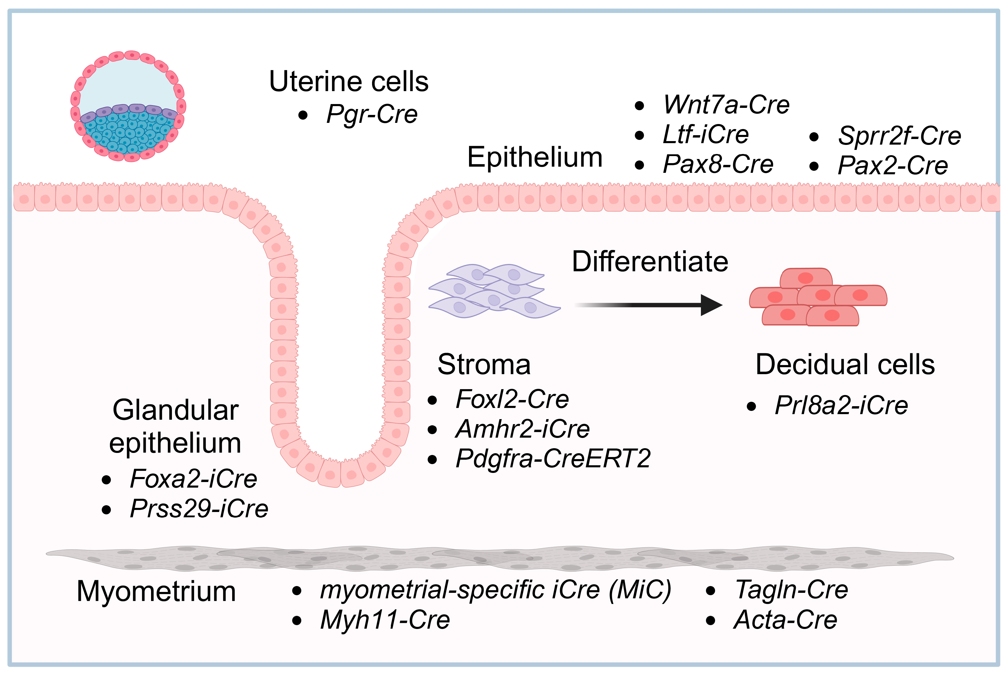 Biomolecules 15 00450 g002