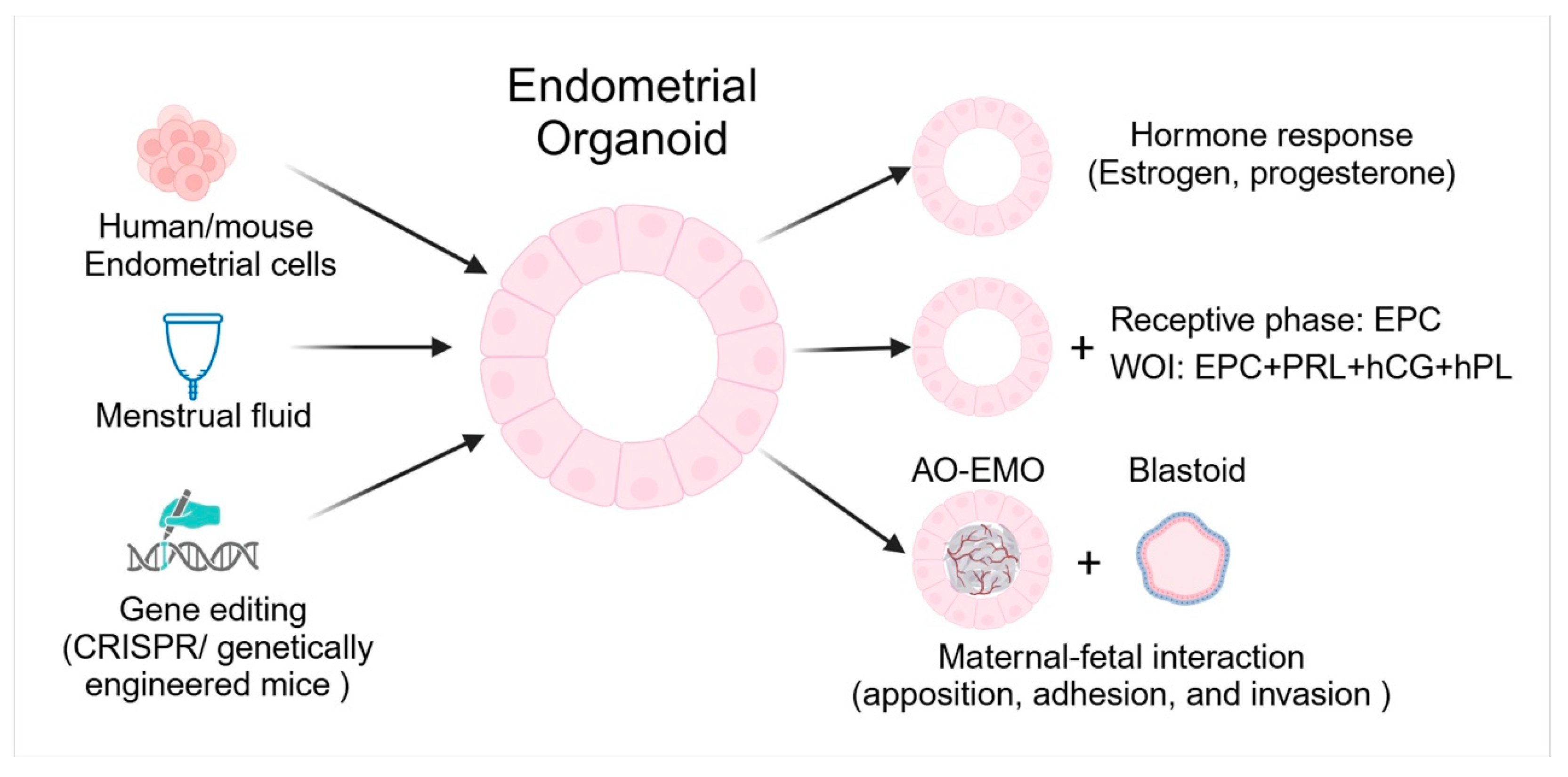 Biomolecules 15 00450 g003