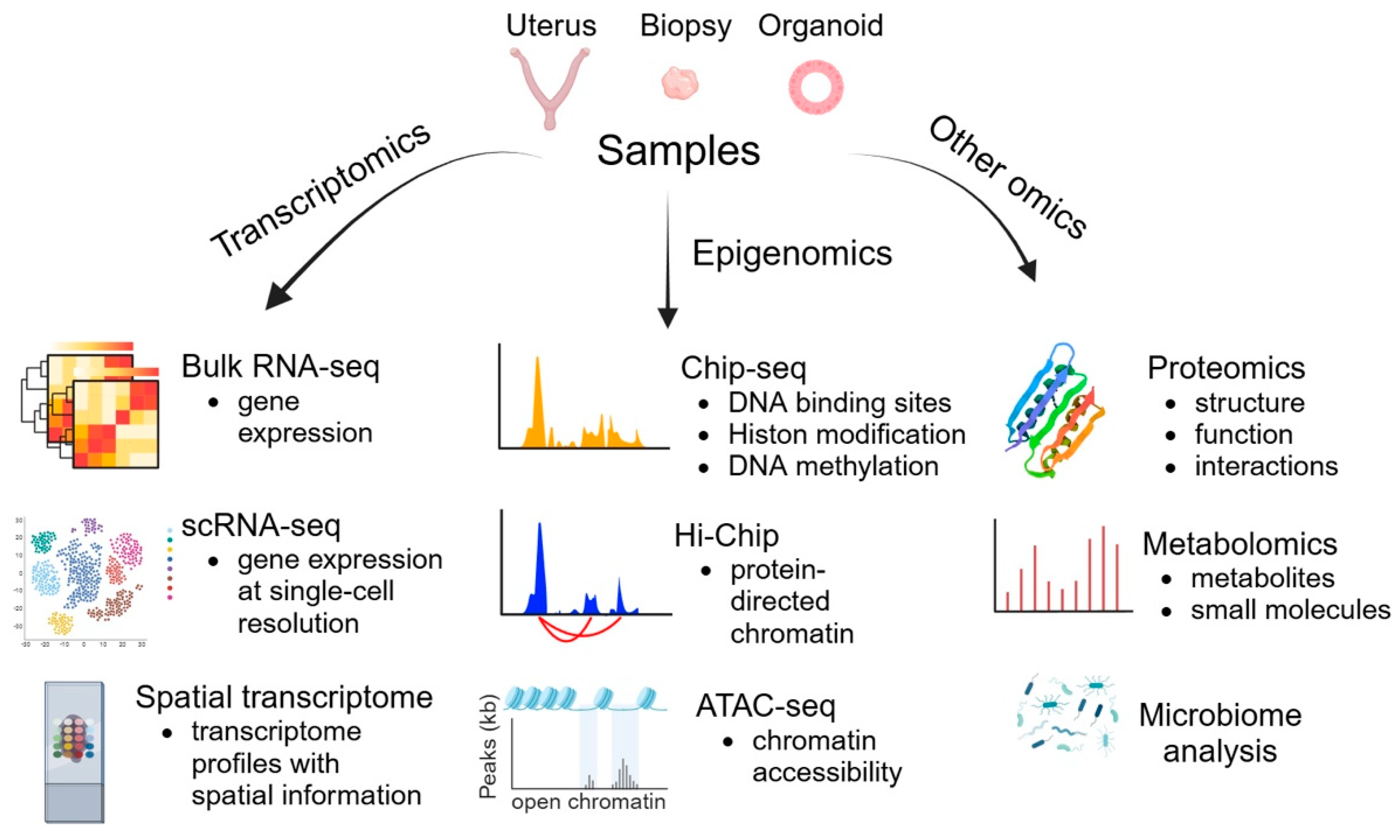Biomolecules 15 00450 g004