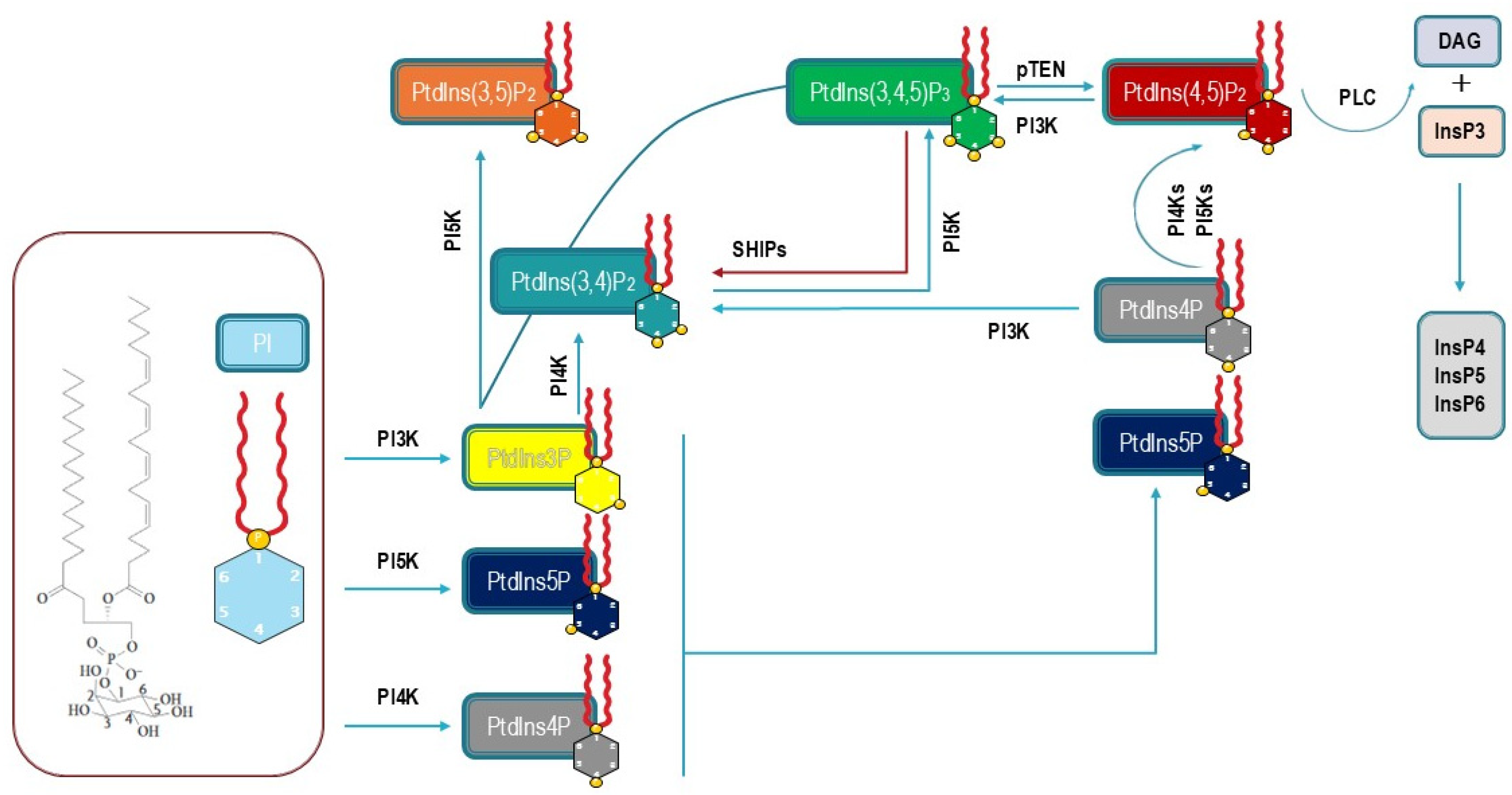Biomolecules 15 00451 g001 Biomolecules 15 00451 g001