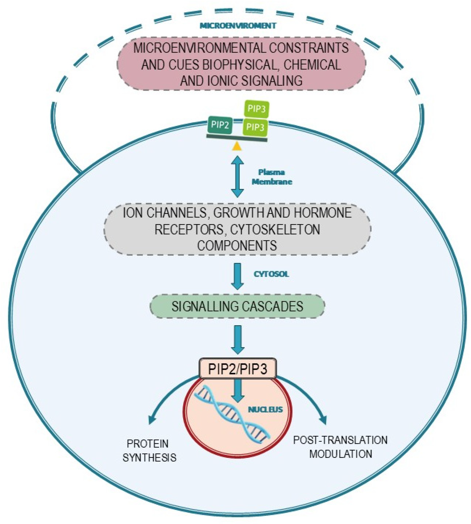 Biomolecules 15 00451 g005 Biomolecules 15 00451 g005