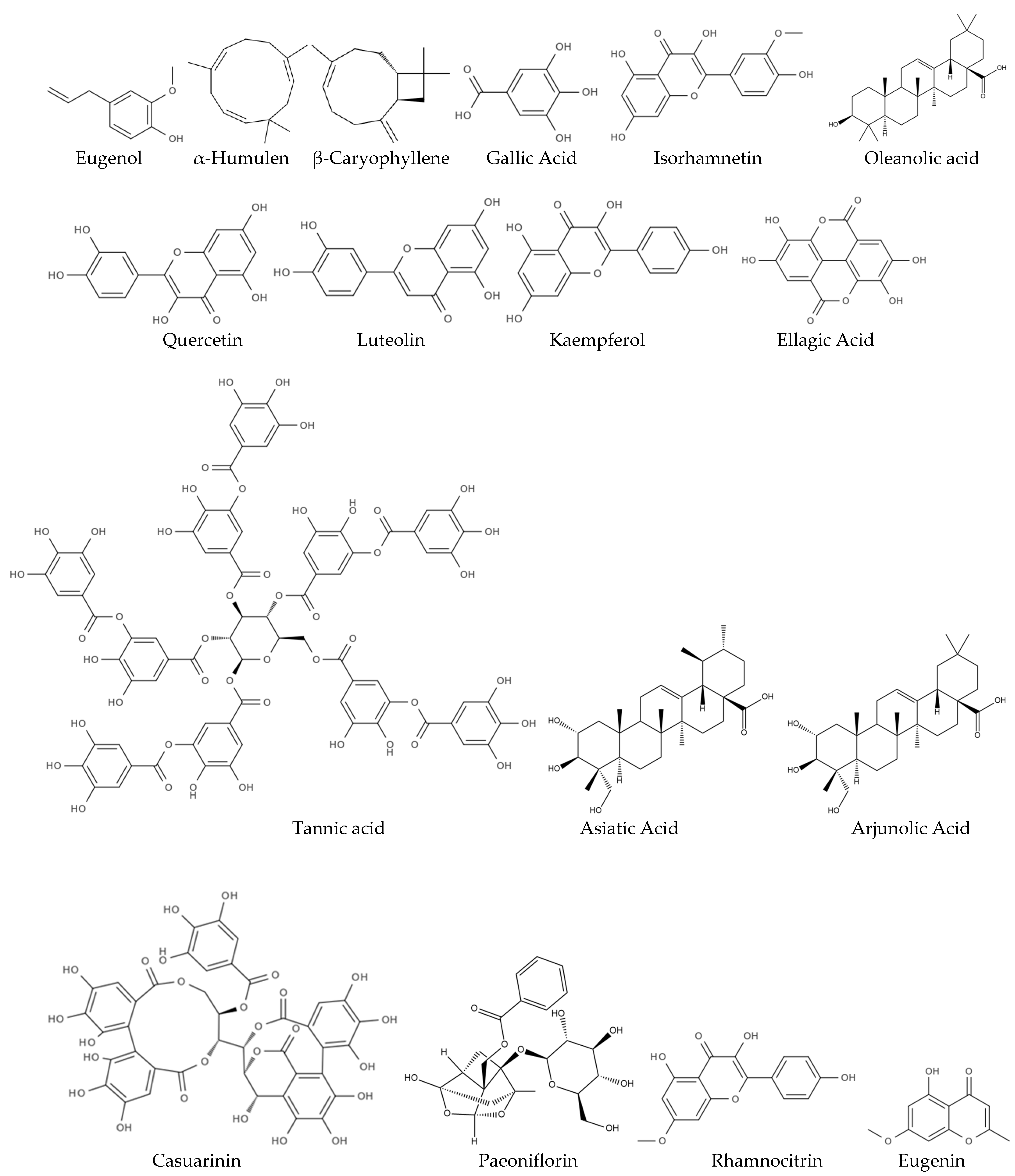 Biomolecules 15 00452 g001