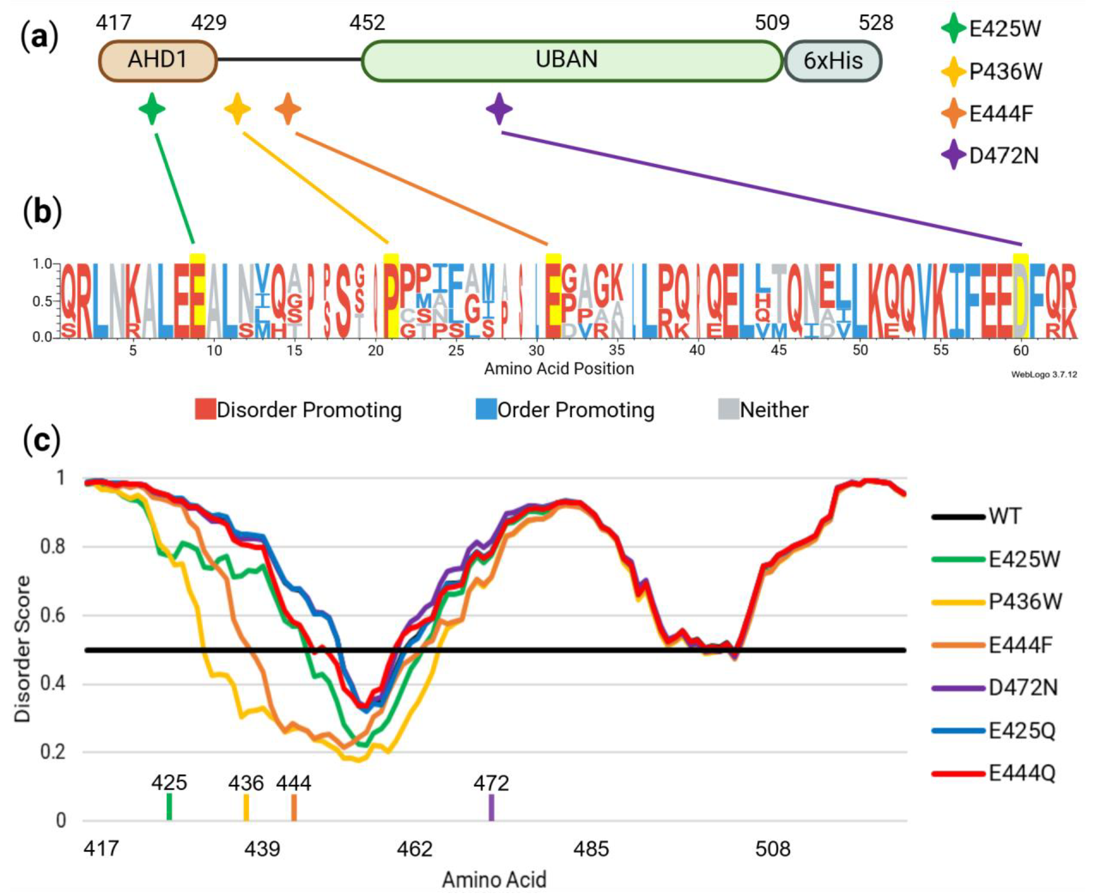 Biomolecules 15 00453 g002