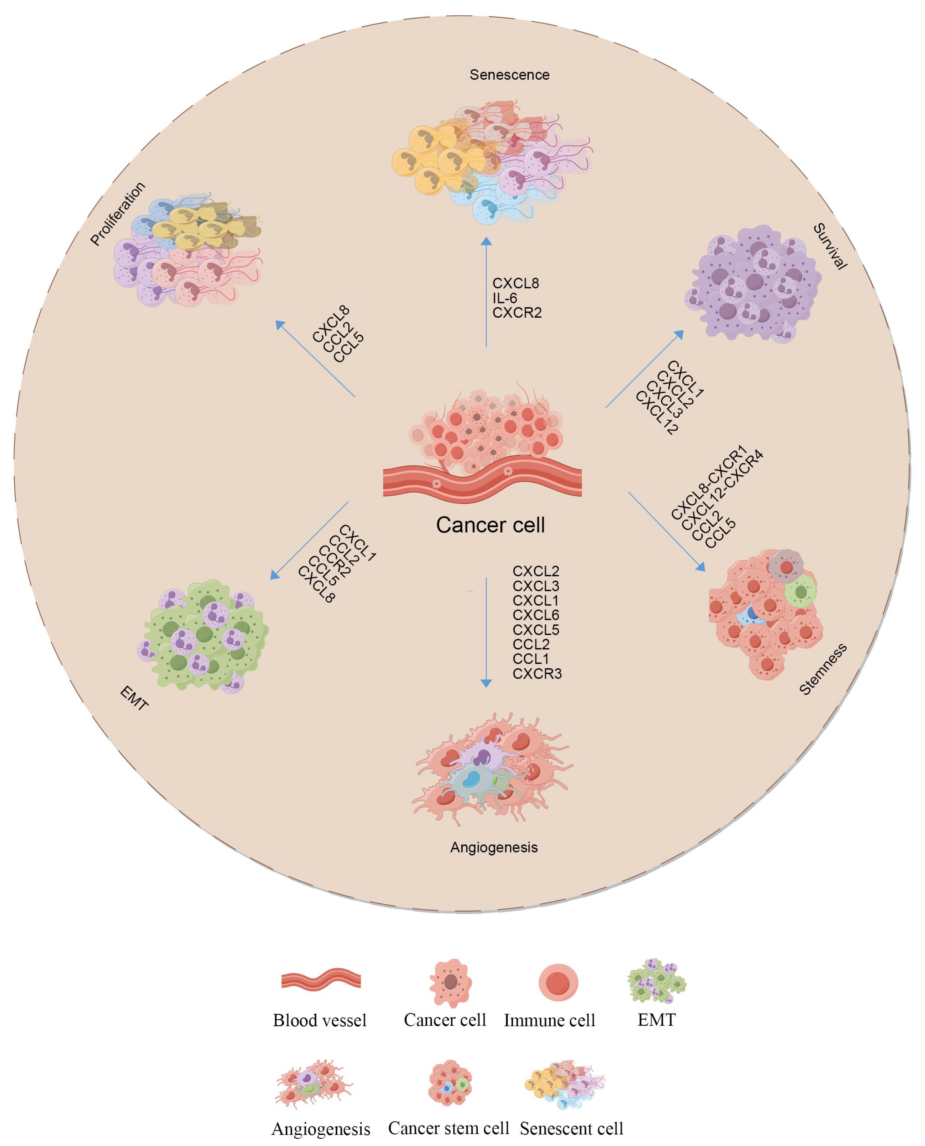 Biomolecules 15 00454 g001