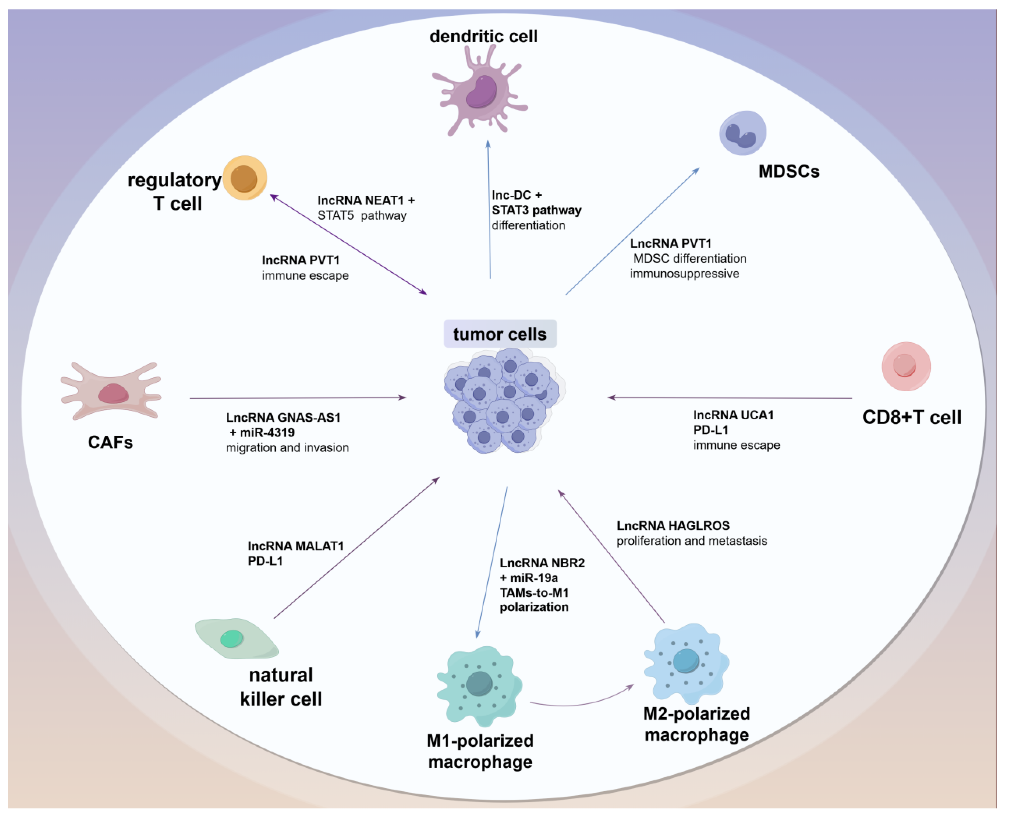 Biomolecules 15 00454 g002