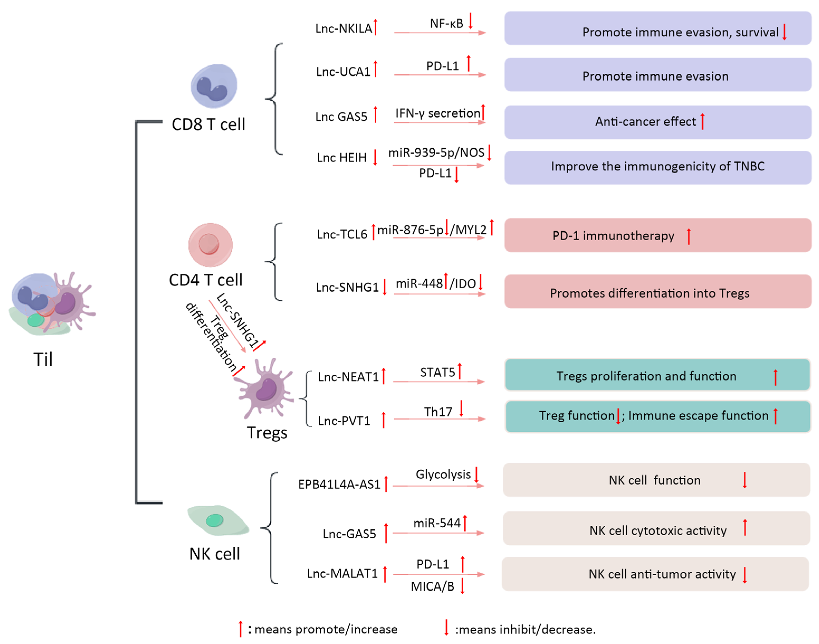 Biomolecules 15 00454 g003