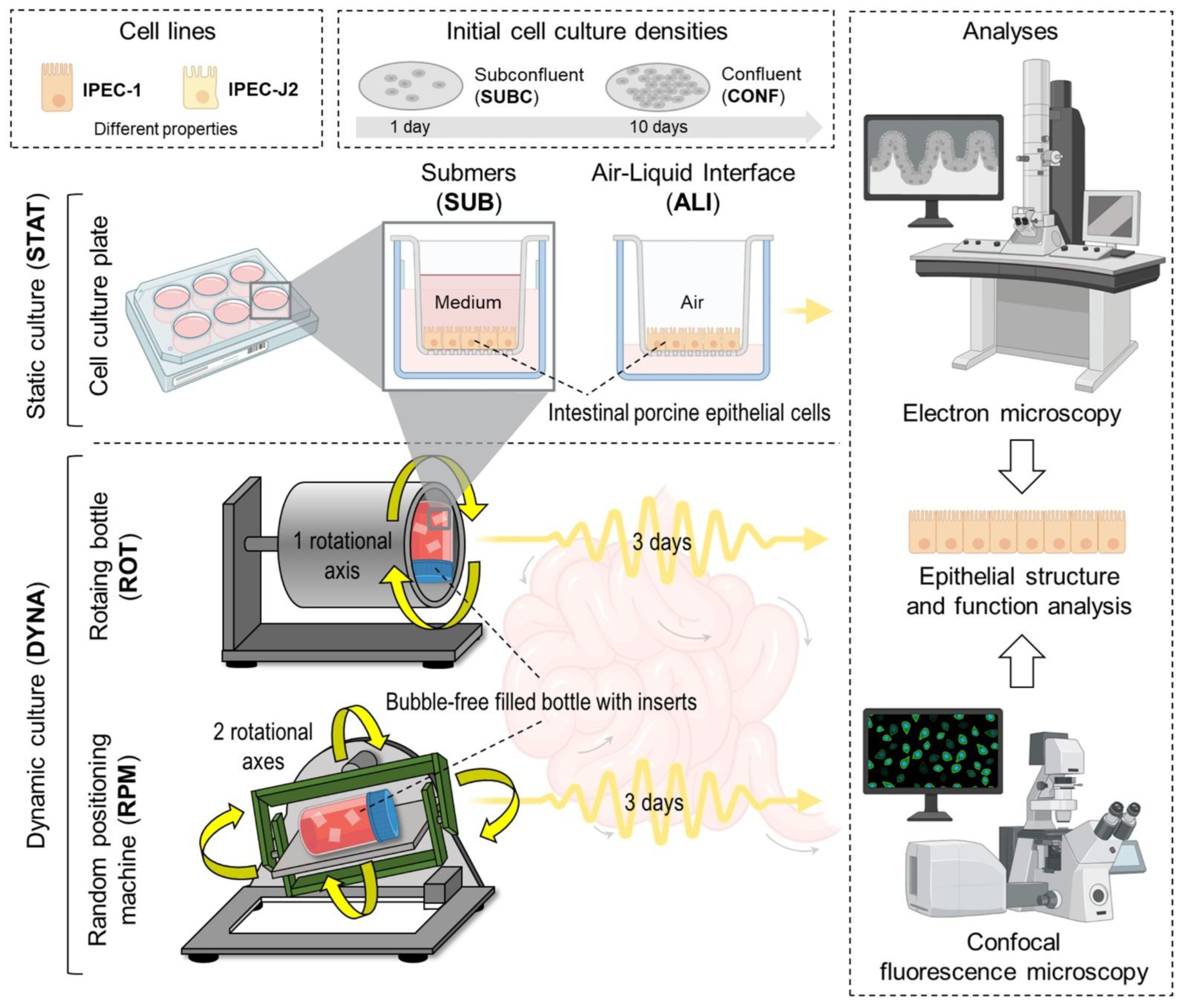 Biomolecules 15 00455 g001
