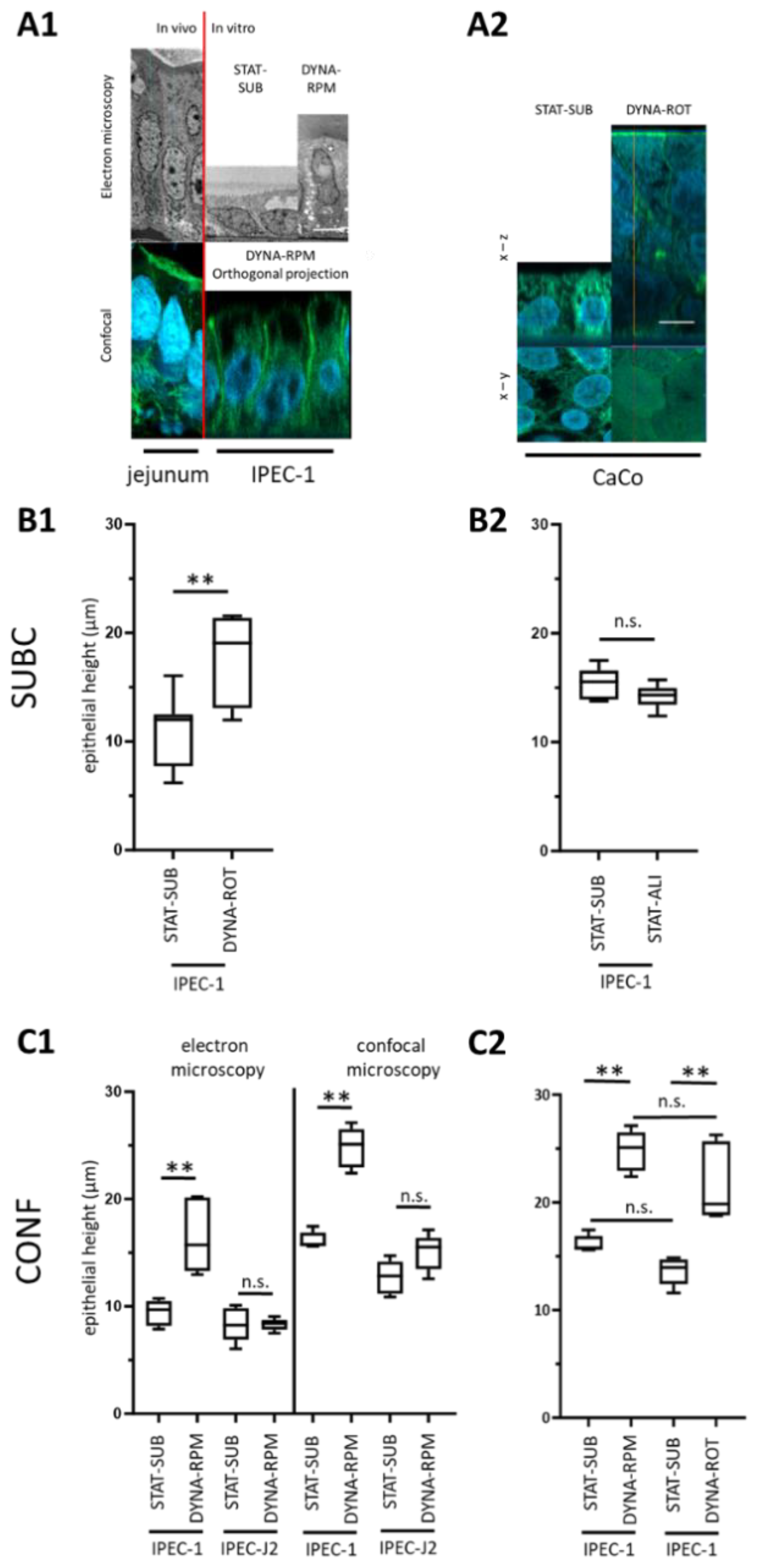 Biomolecules 15 00455 g002