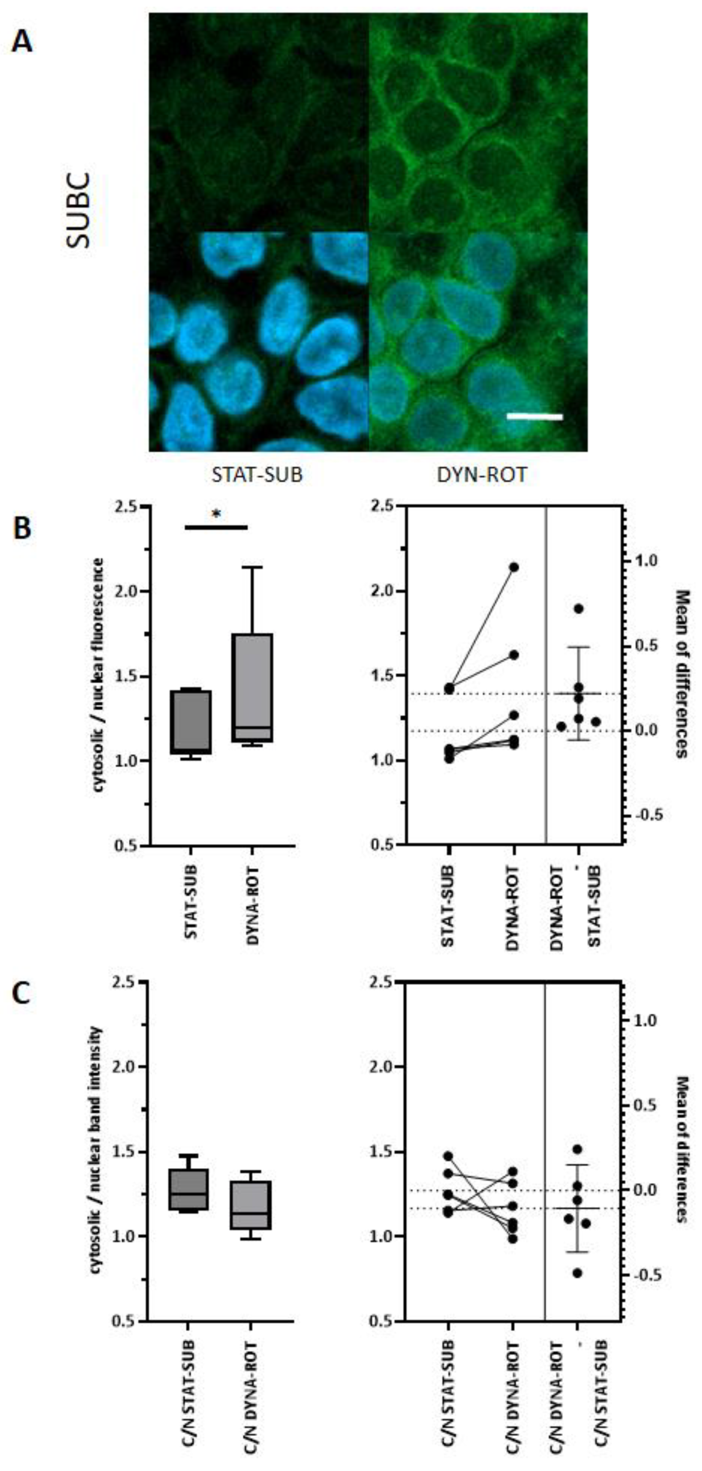Biomolecules 15 00455 g004