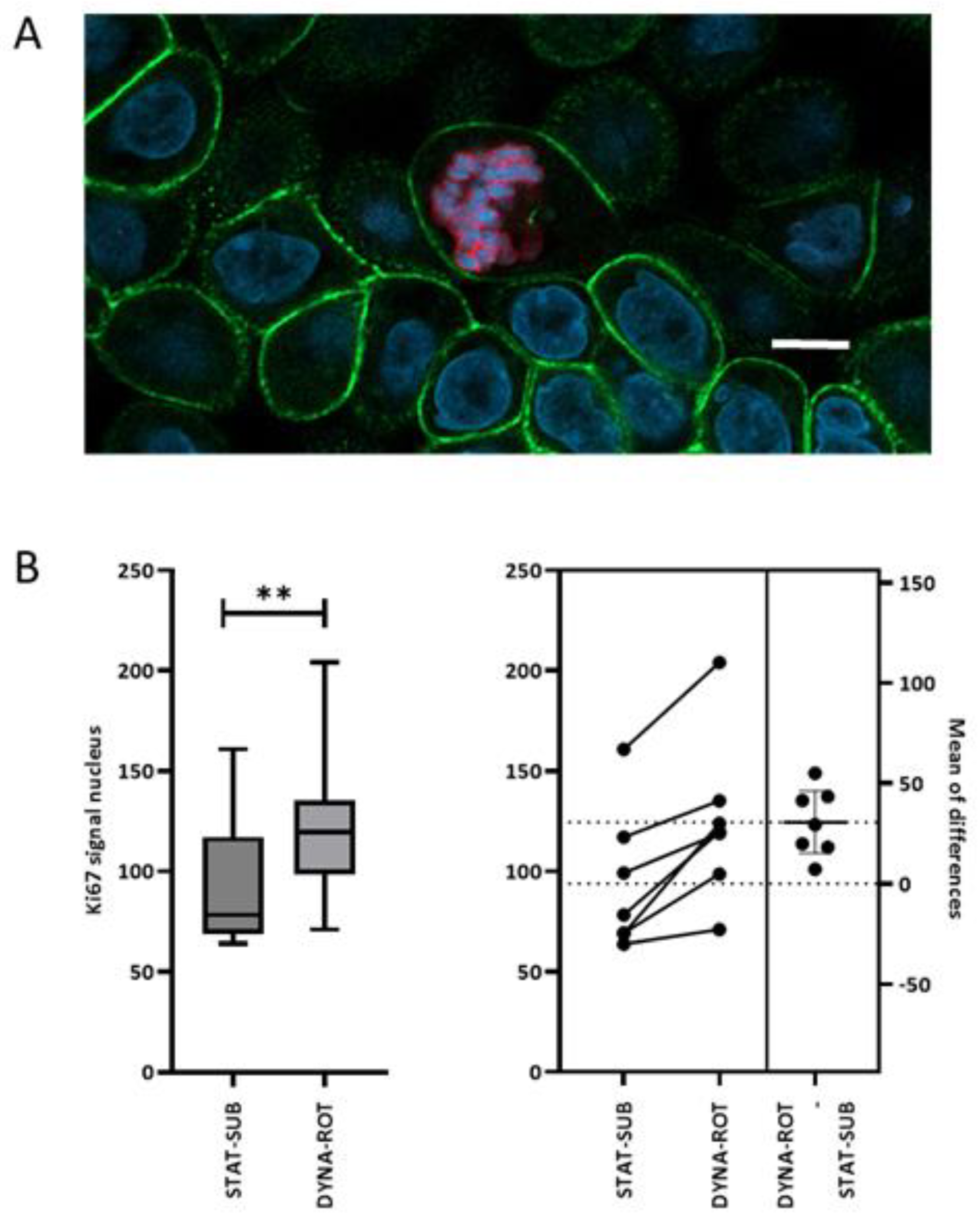 Biomolecules 15 00455 g007