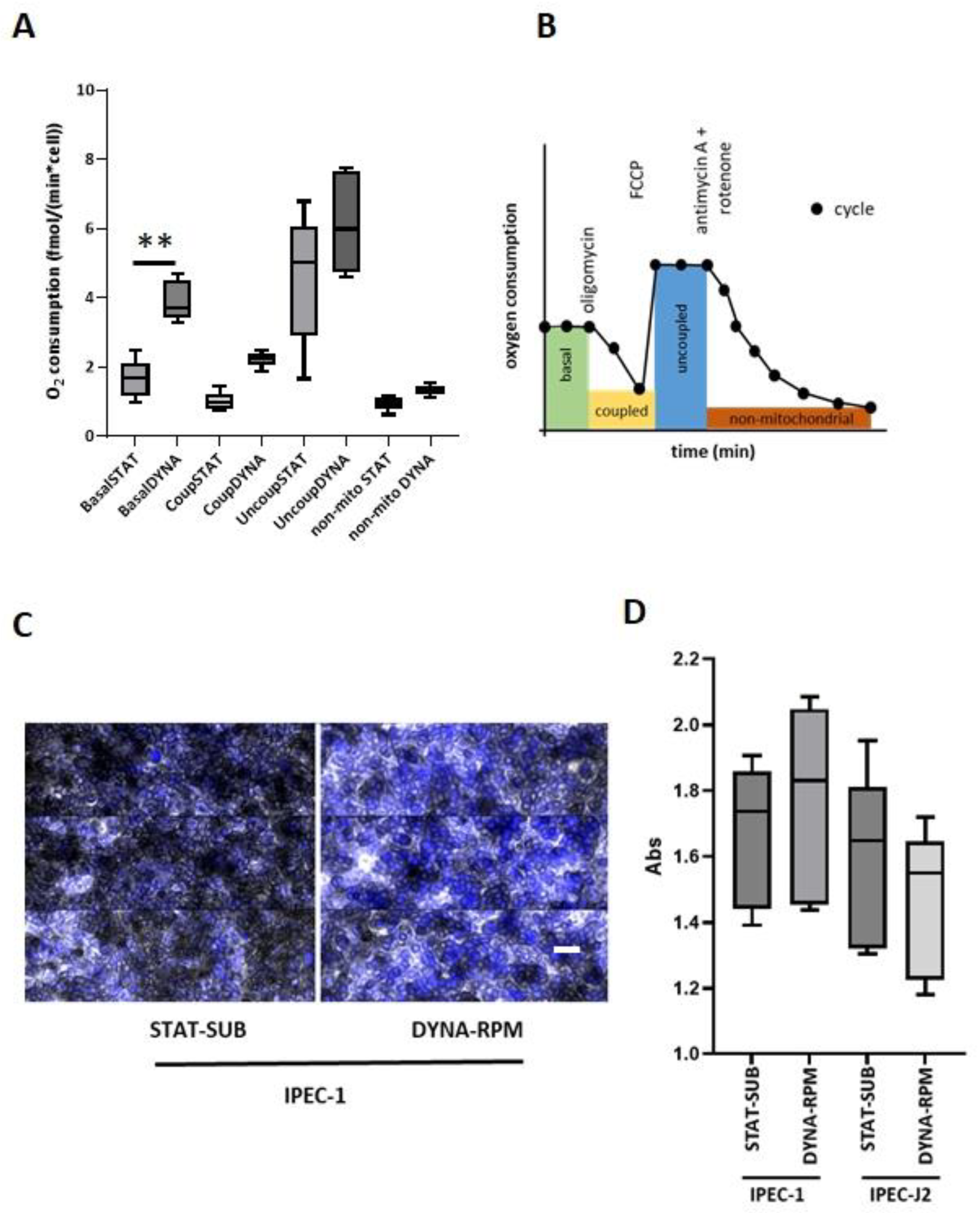 Biomolecules 15 00455 g008