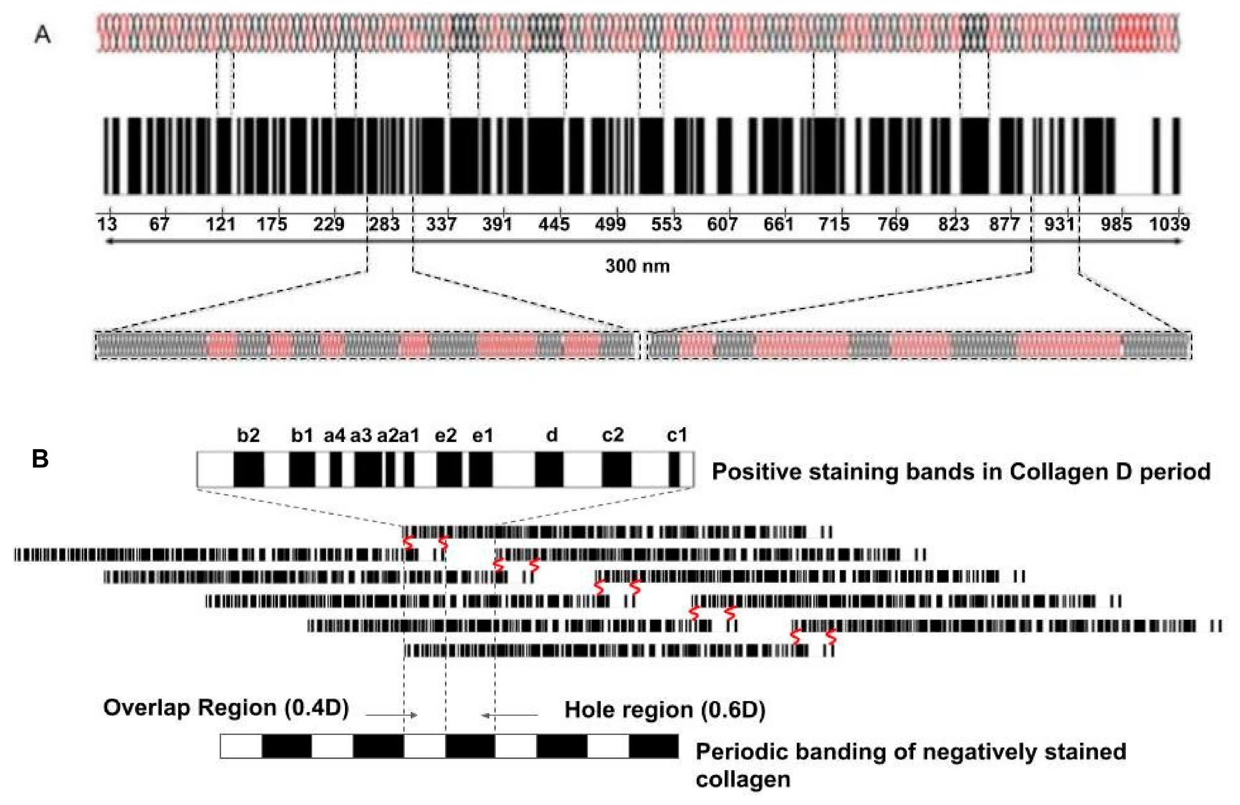 Biomolecules 15 00457 g002