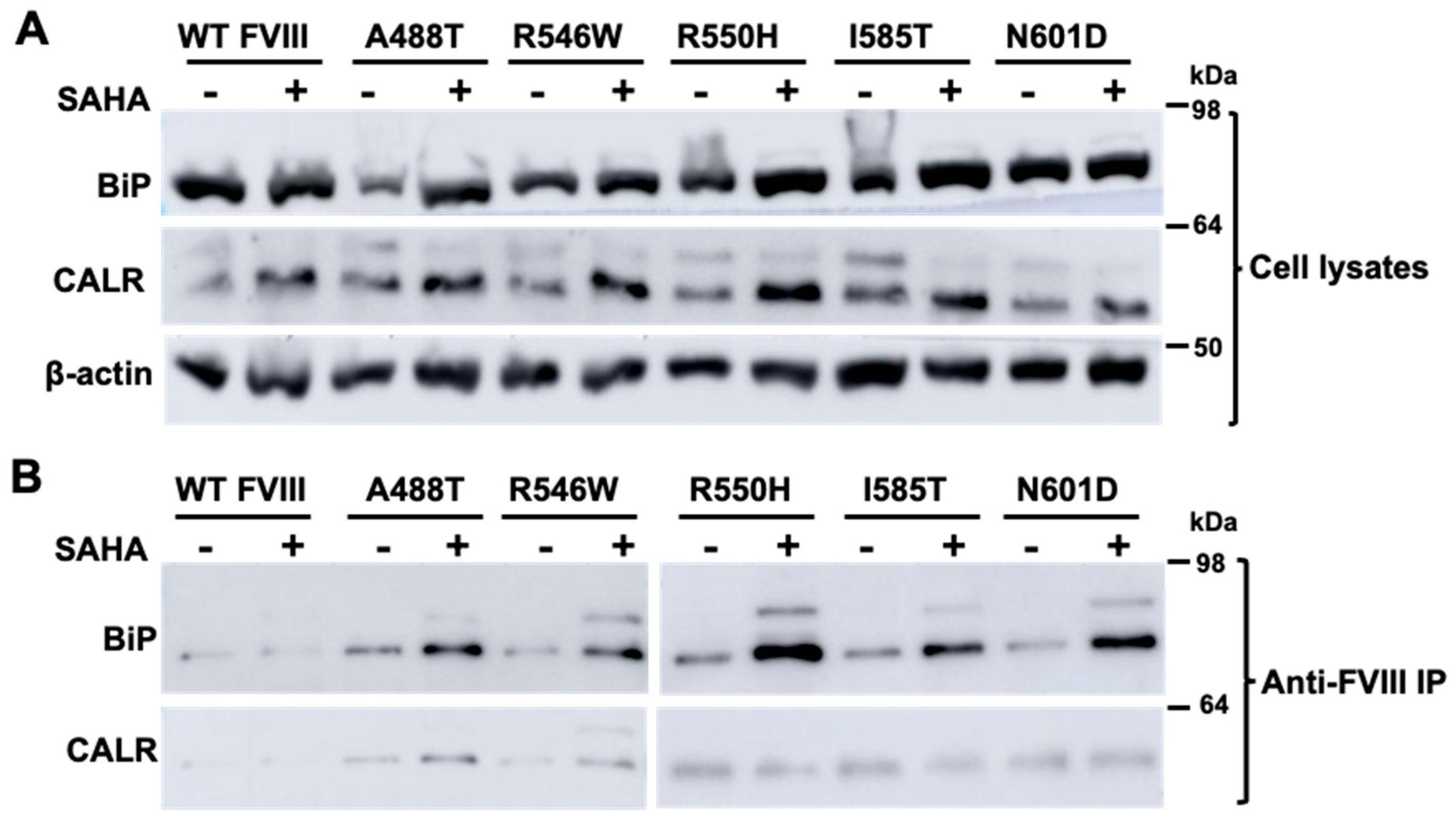 Biomolecules 15 00458 g005