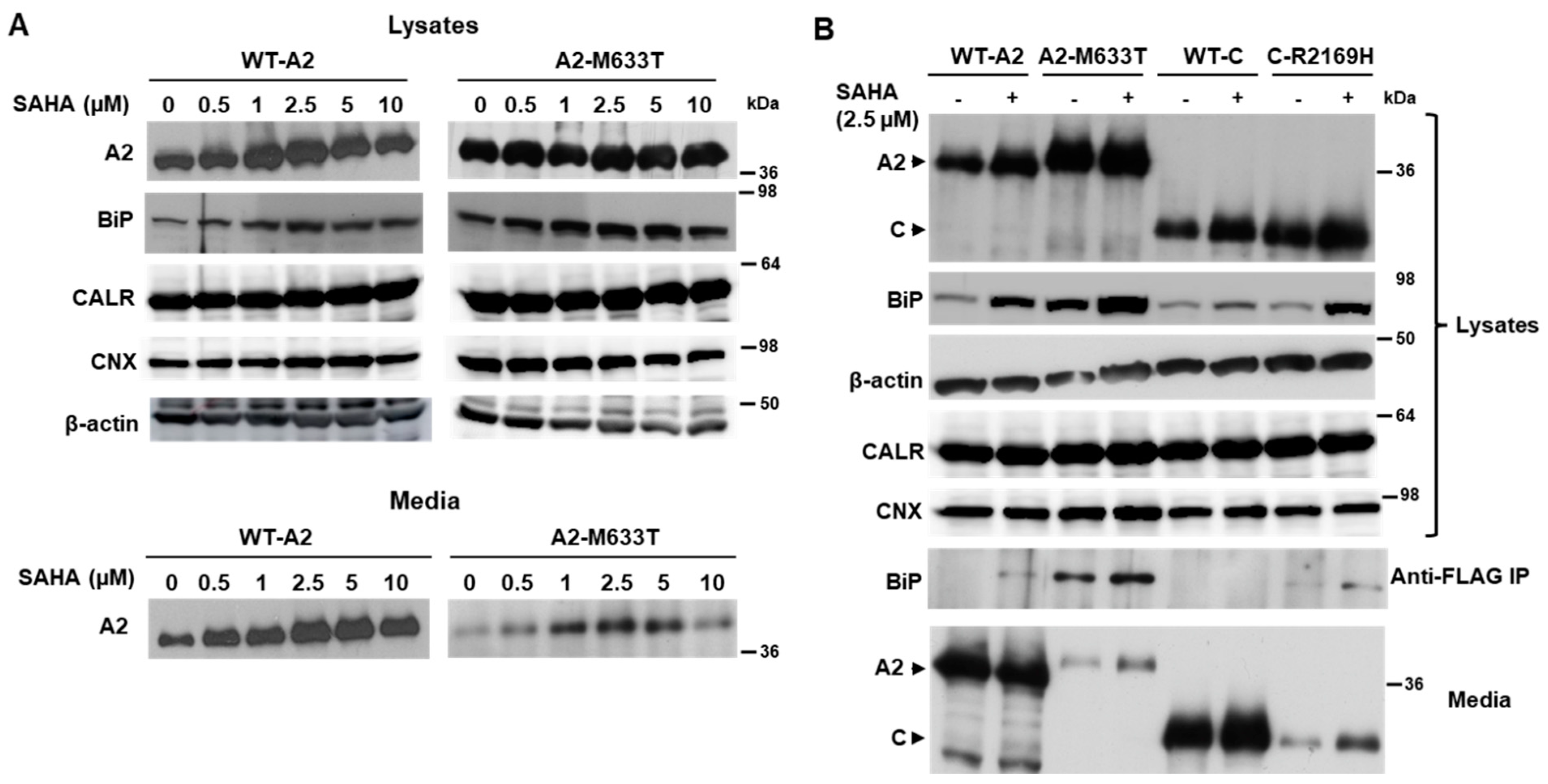 Biomolecules 15 00458 g006