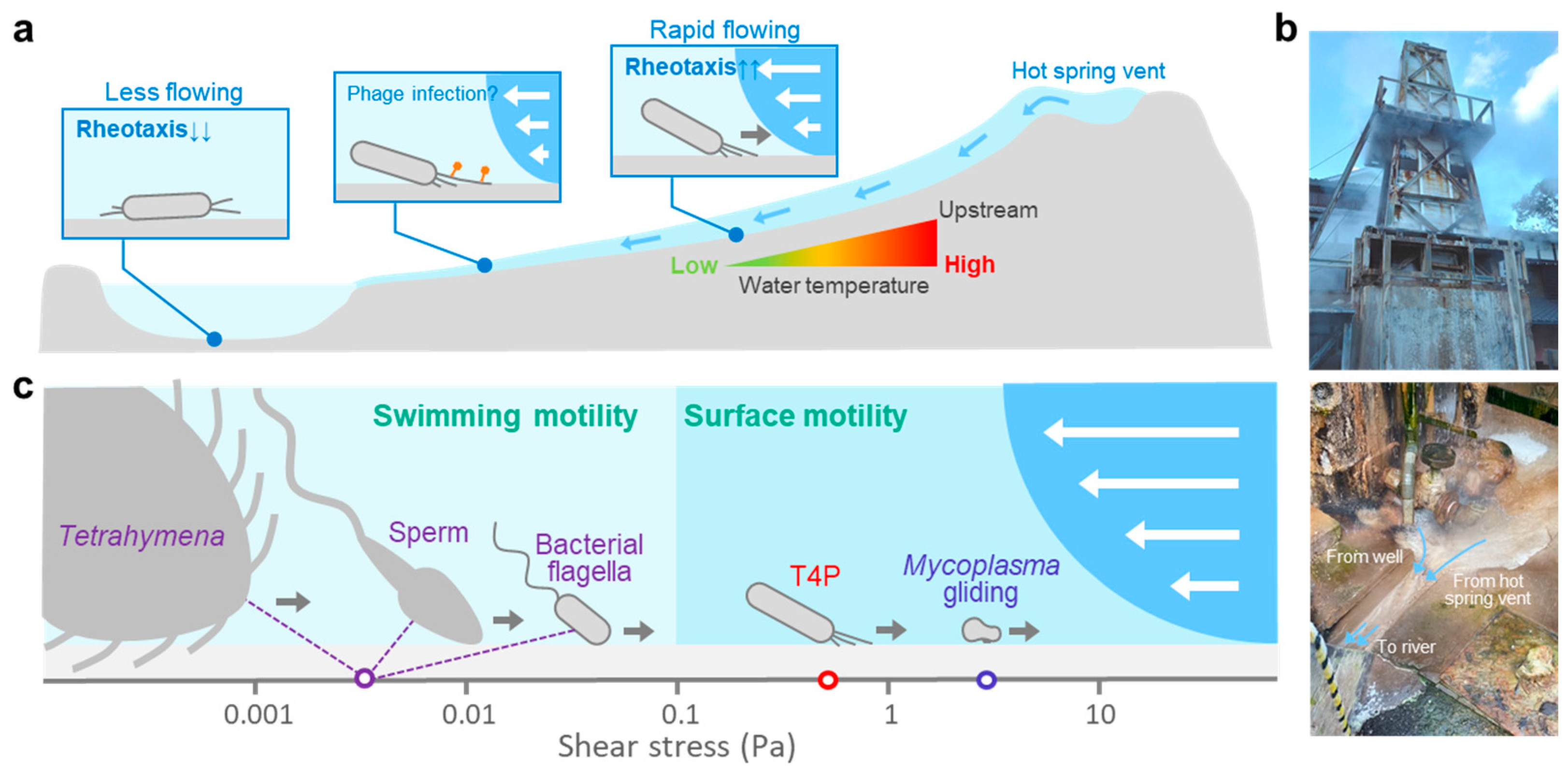 Biomolecules 15 00459 g003