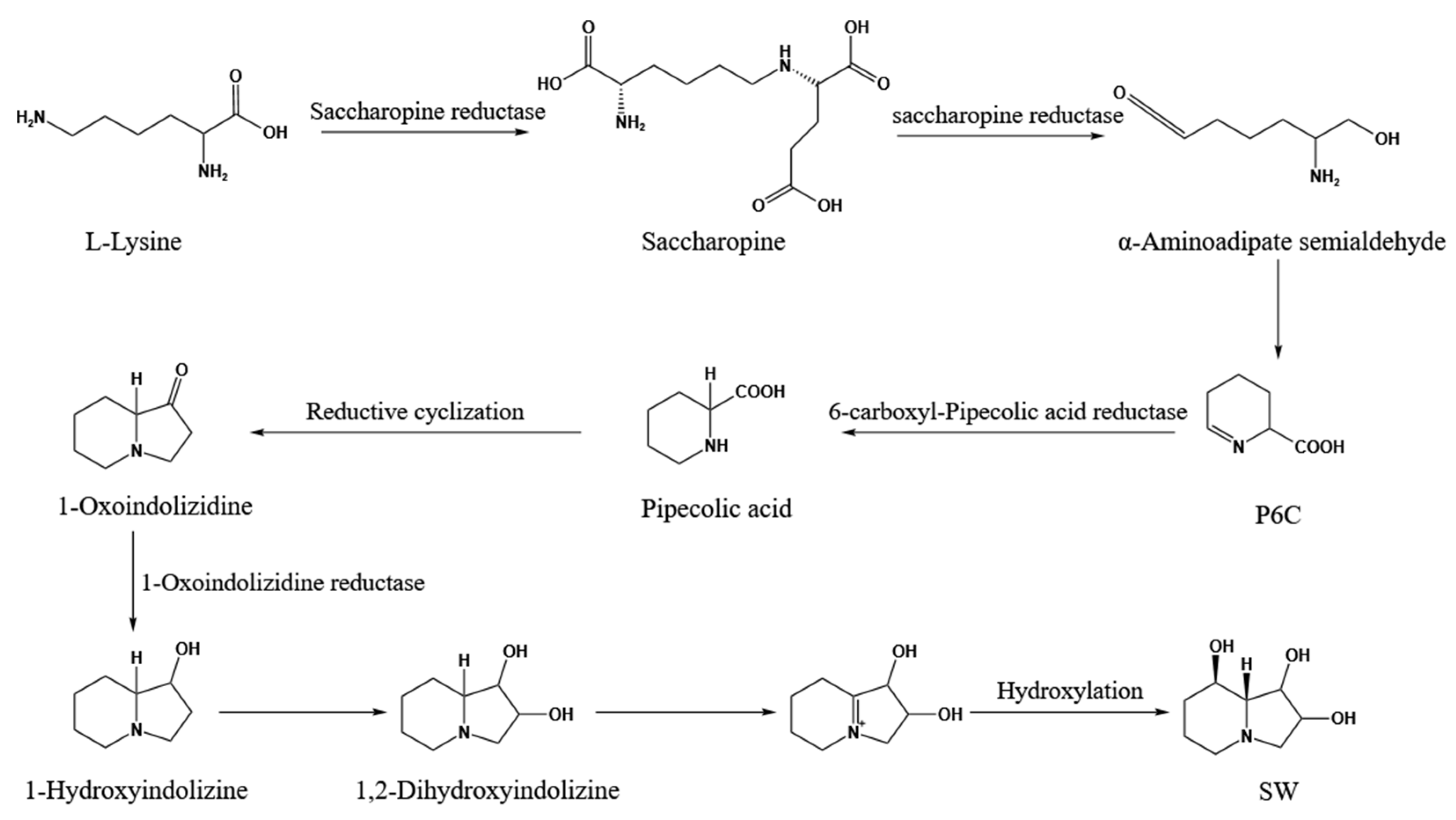 Biomolecules 15 00460 g001