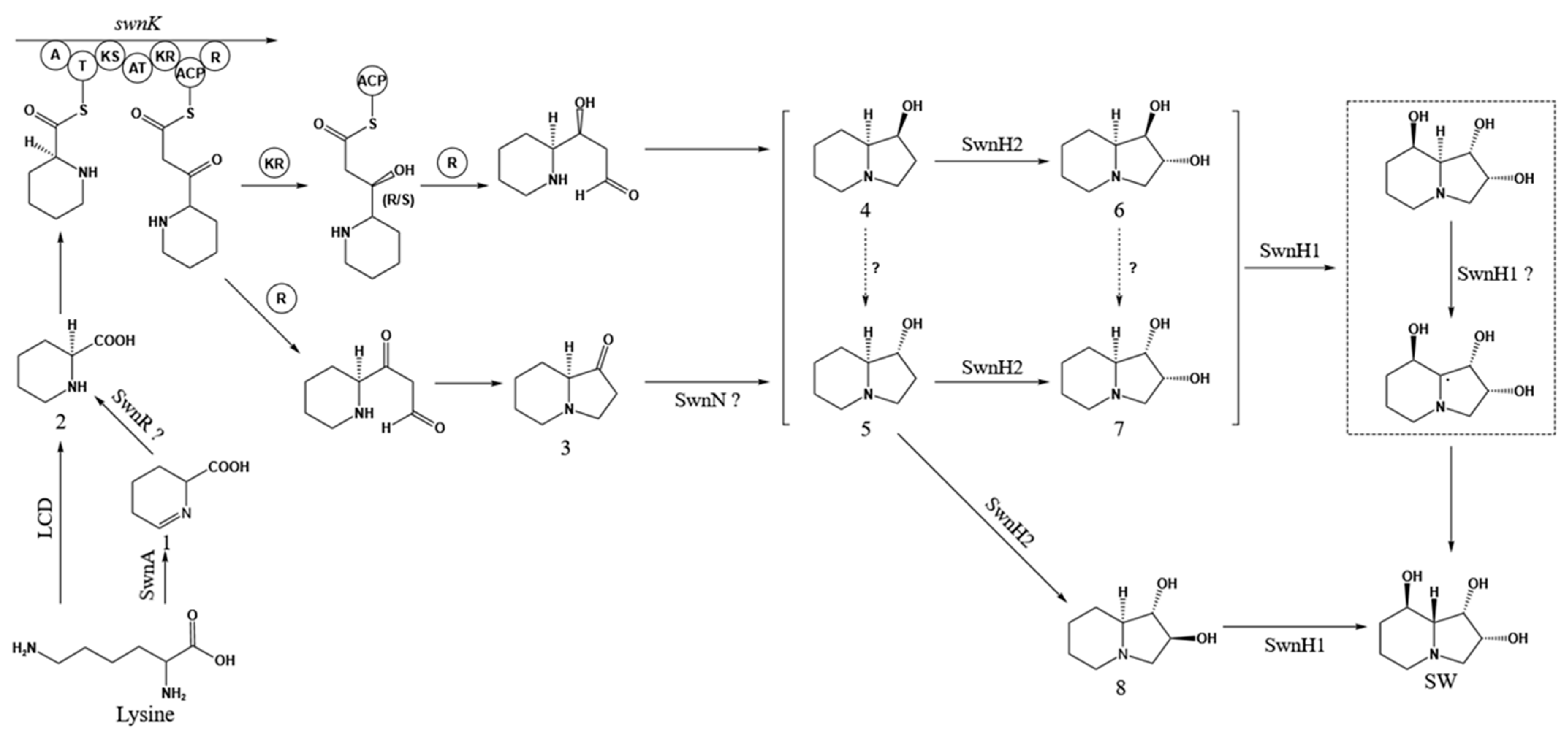 Biomolecules 15 00460 g003