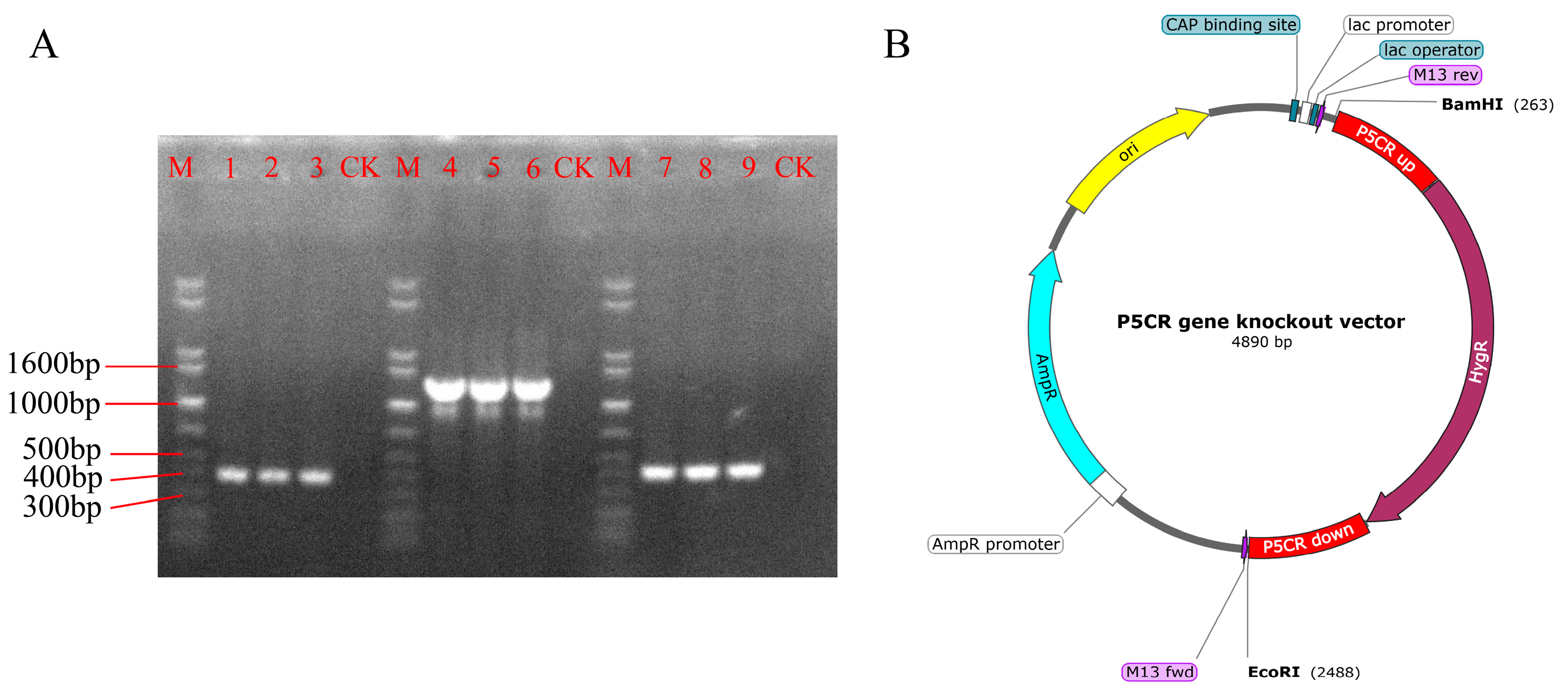 Biomolecules 15 00460 g004