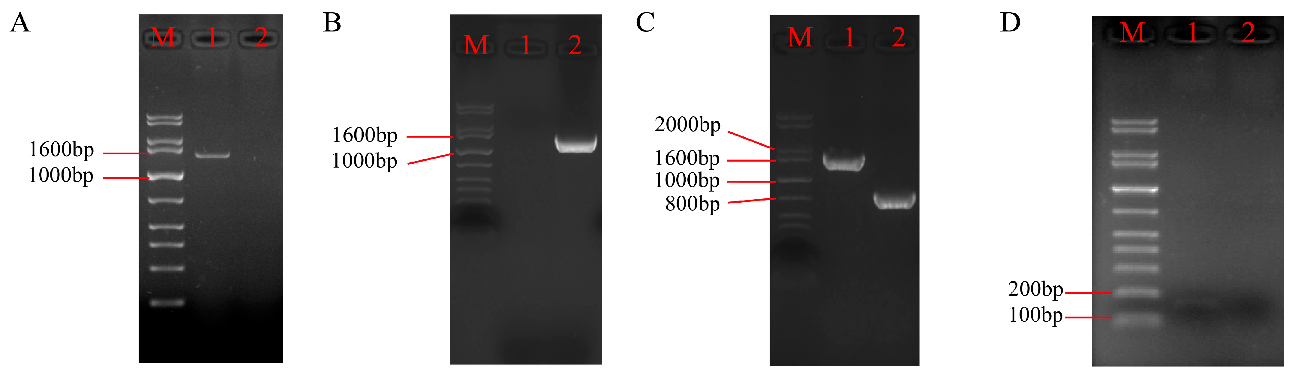 Biomolecules 15 00460 g005