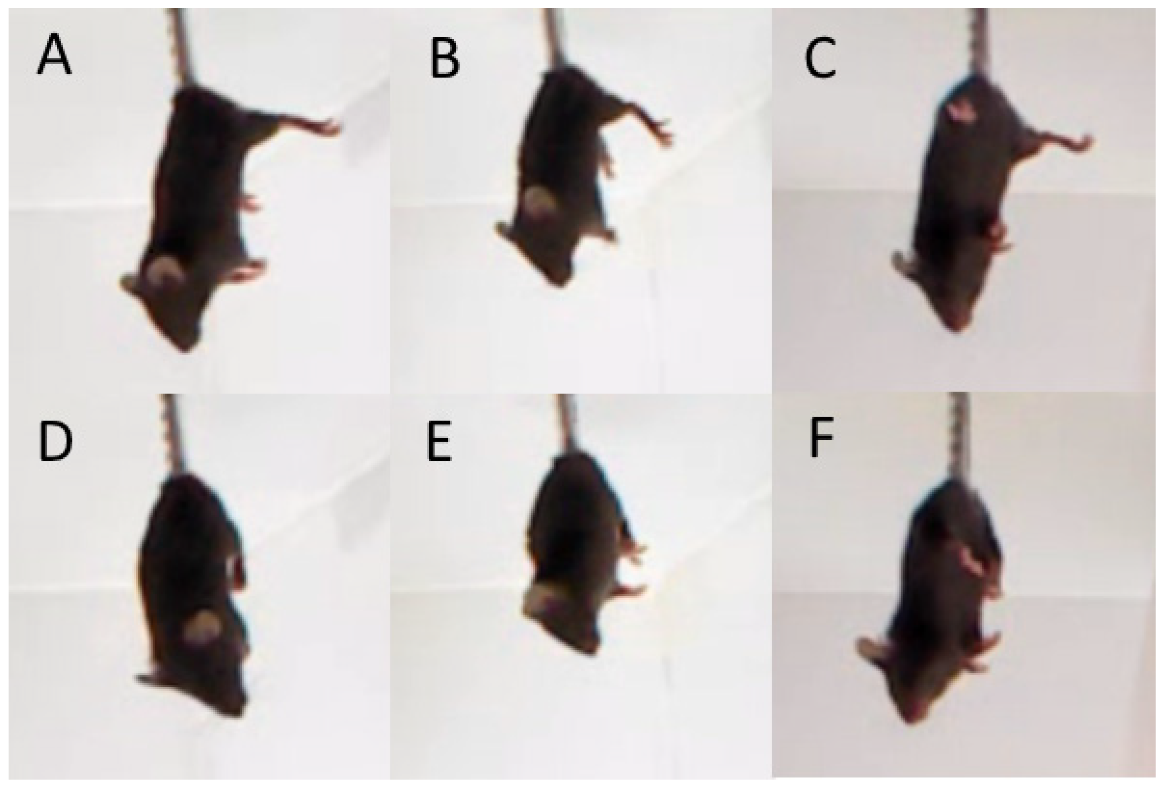 Biomolecules 15 00461 g004