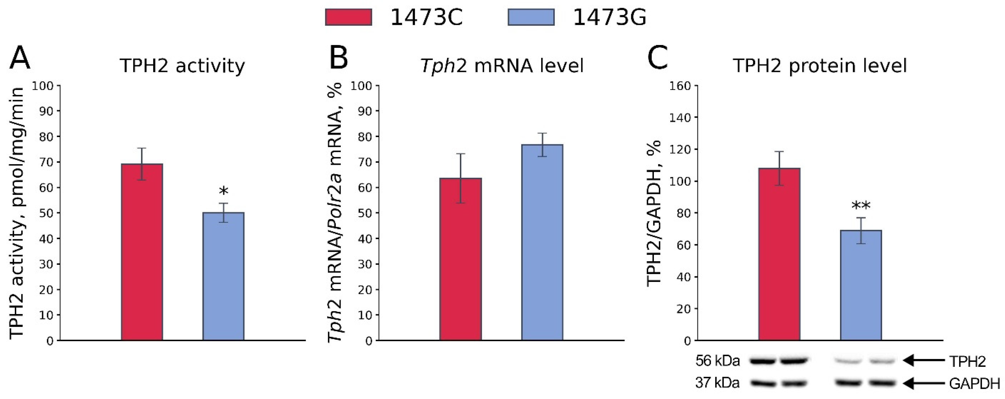 Biomolecules 15 00461 g006