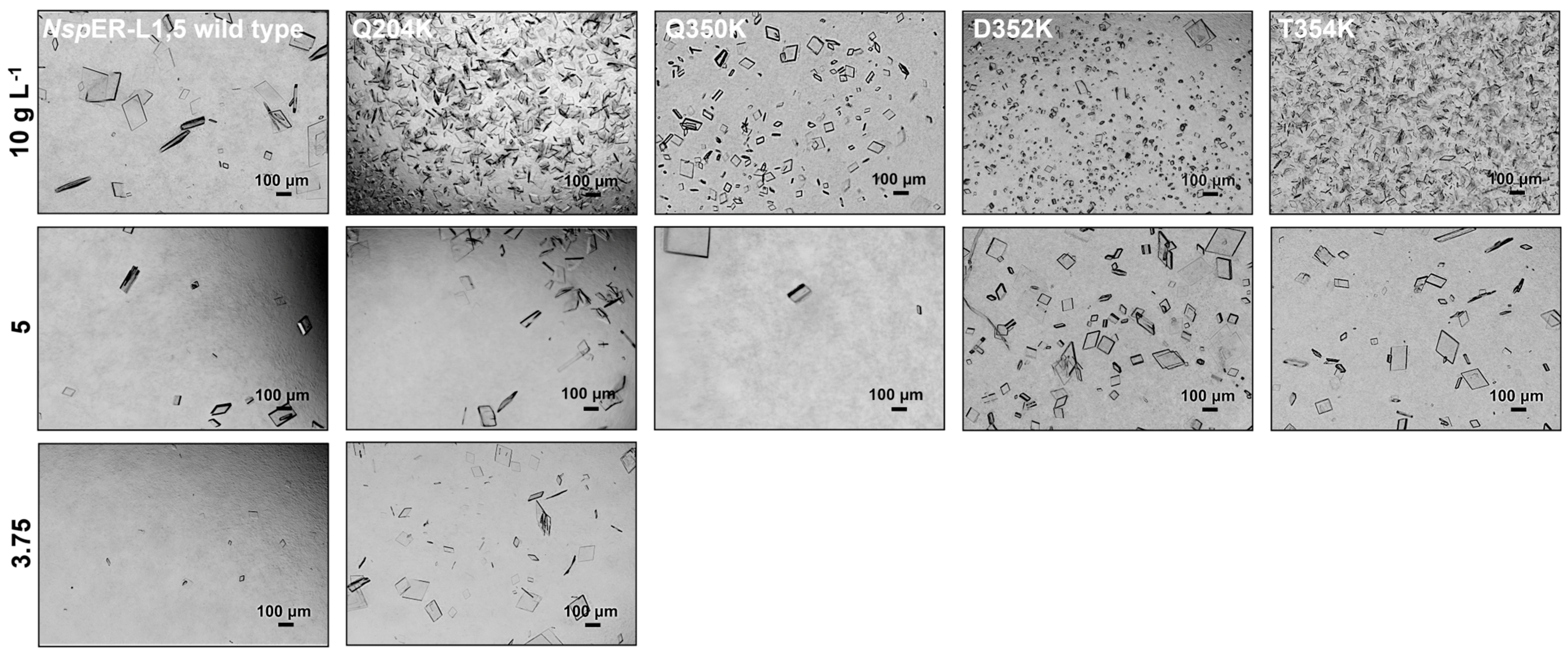 Biomolecules 15 00467 g002