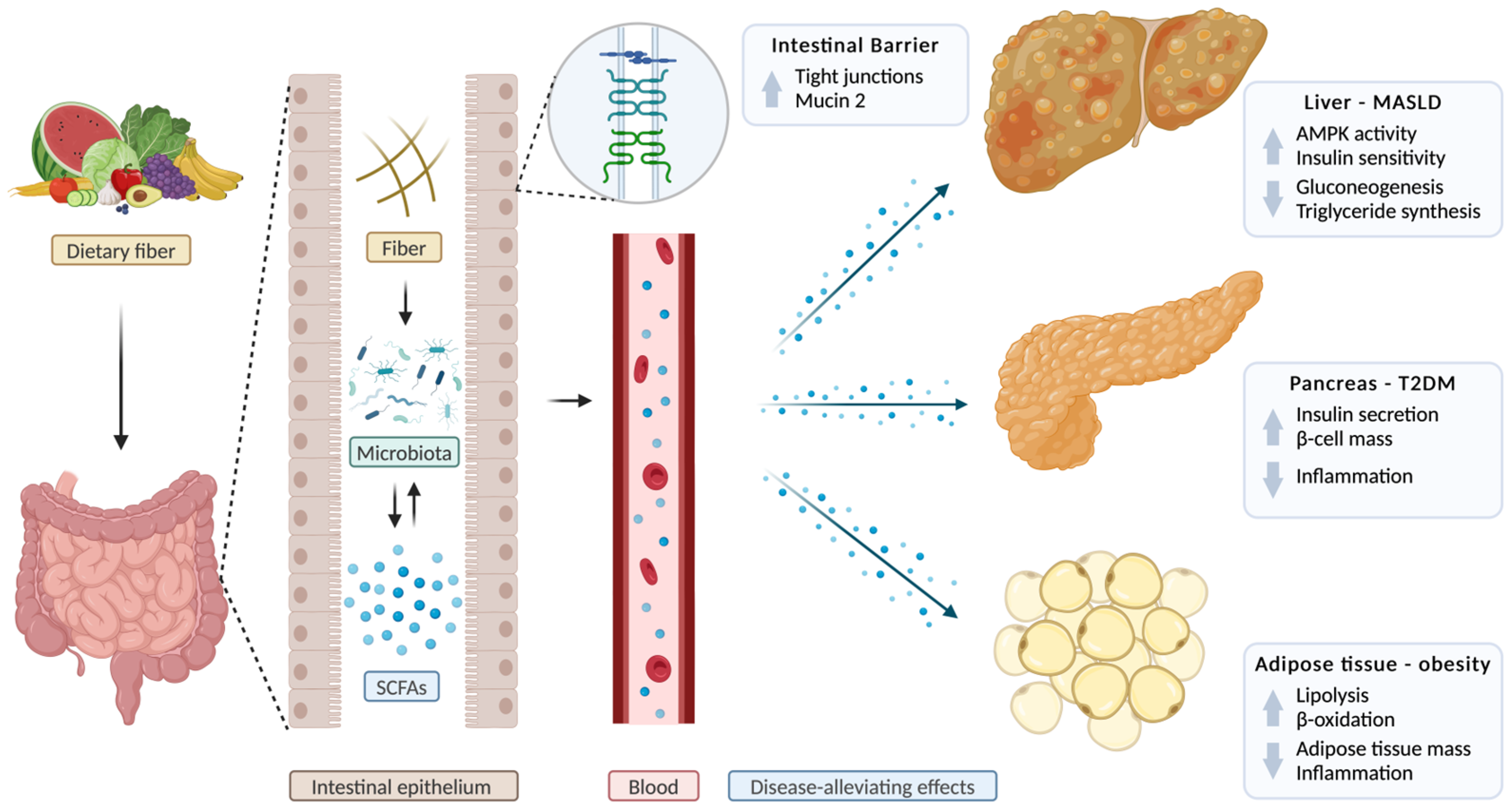 Biomolecules 15 00469 g002
