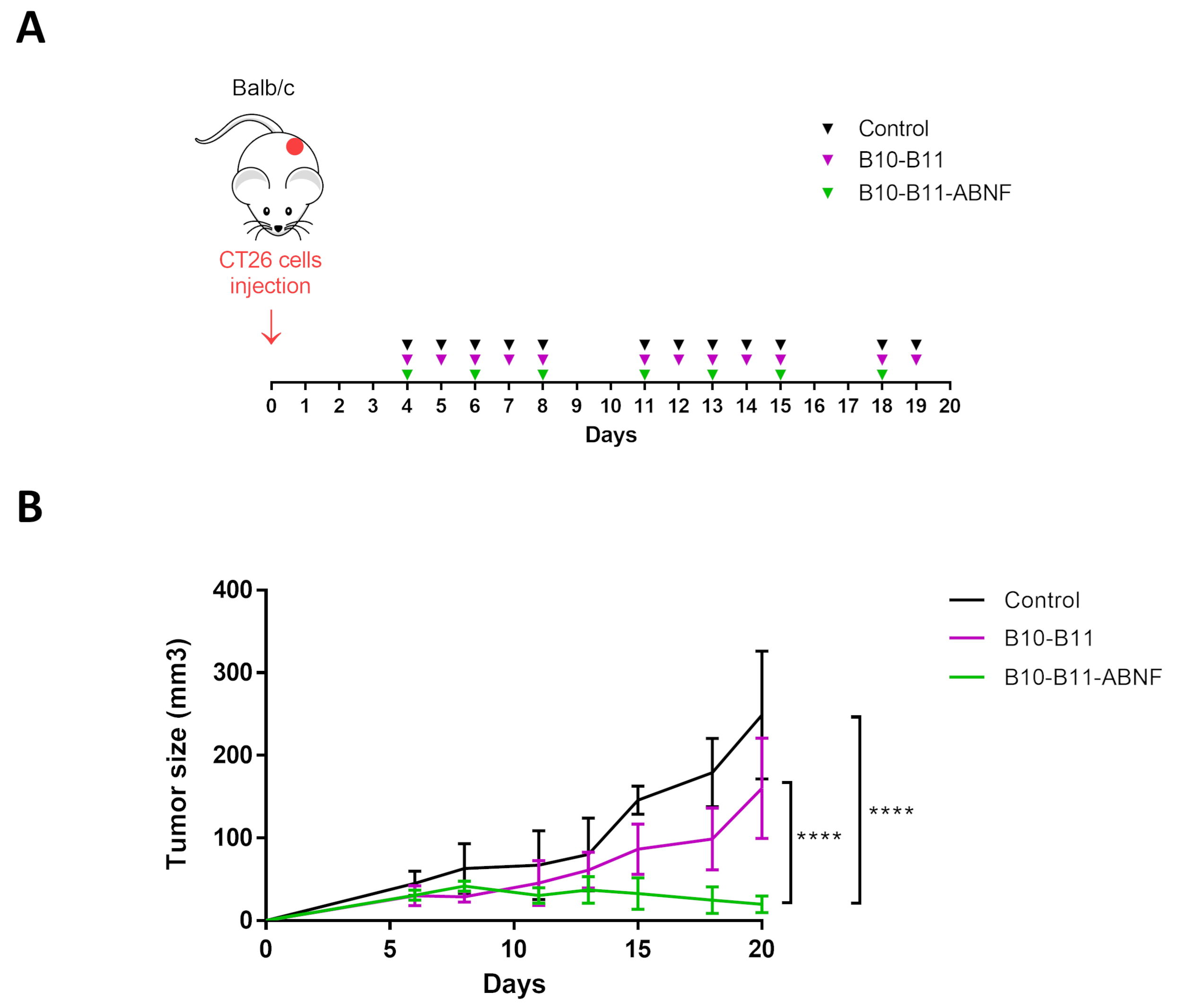 Biomolecules 15 00471 g004
