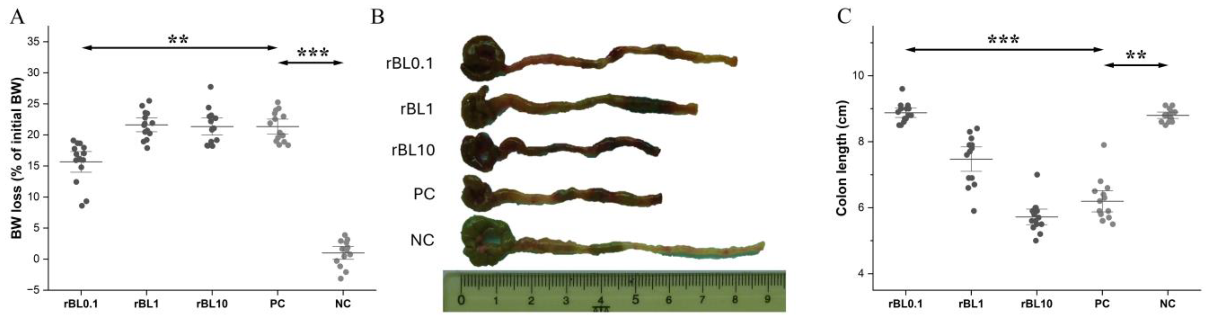 Biomolecules 15 00476 g001