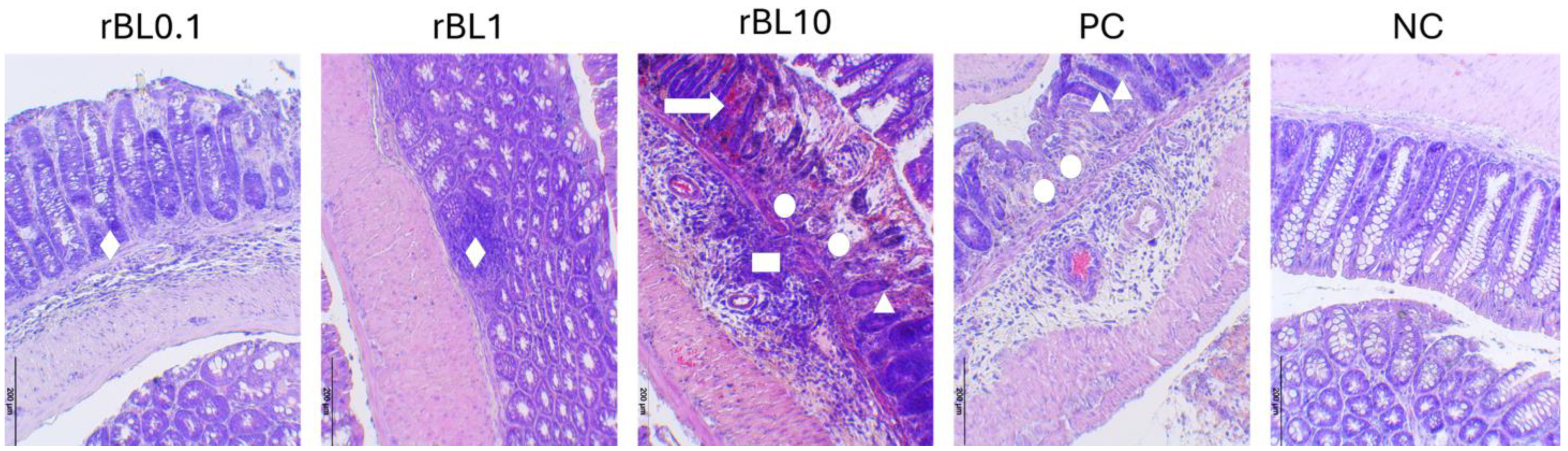 Biomolecules 15 00476 g002