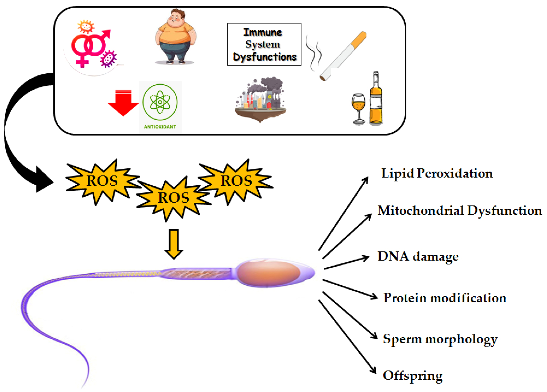 Biomolecules 15 00478 g002