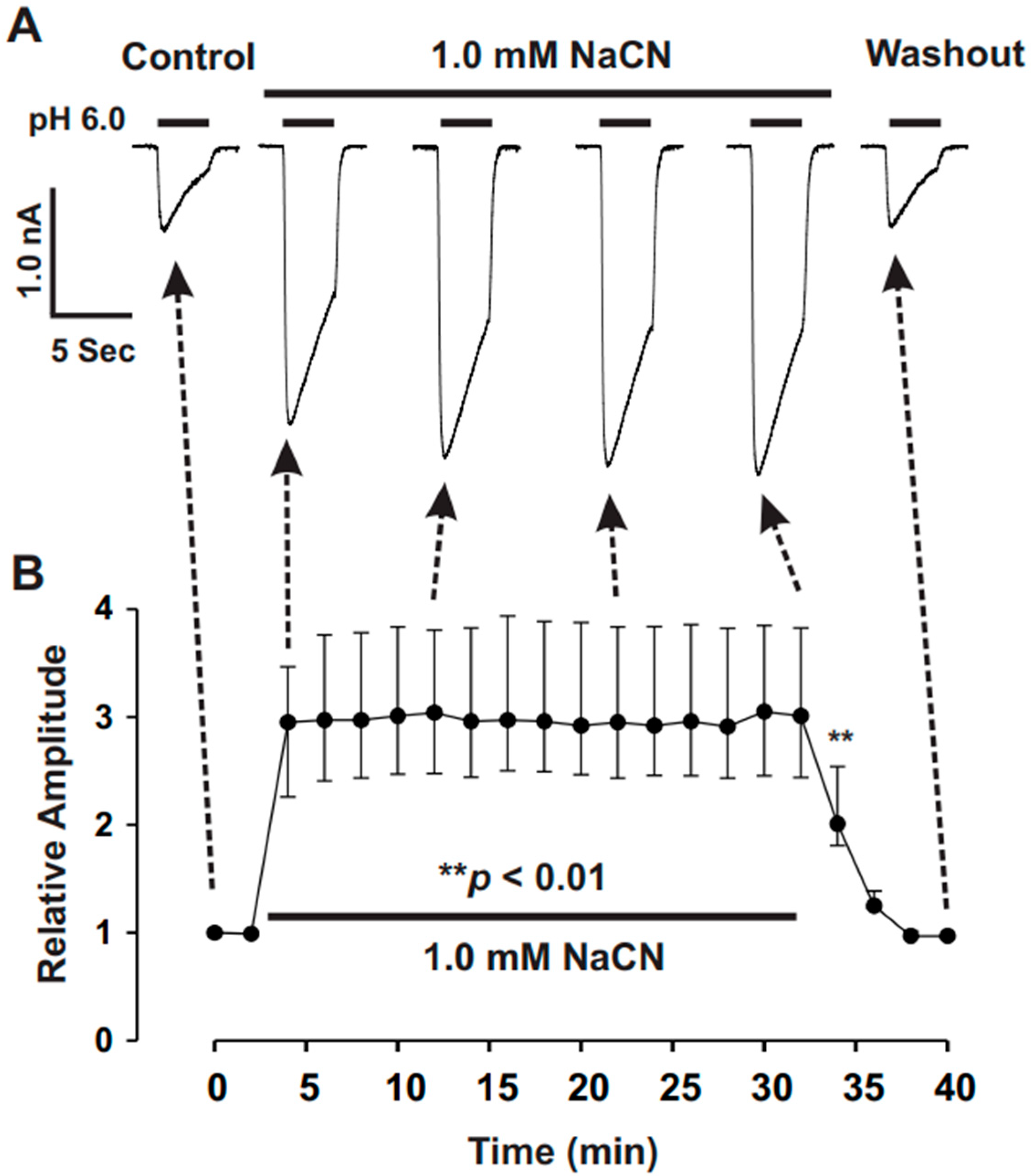 Biomolecules 15 00479 g003