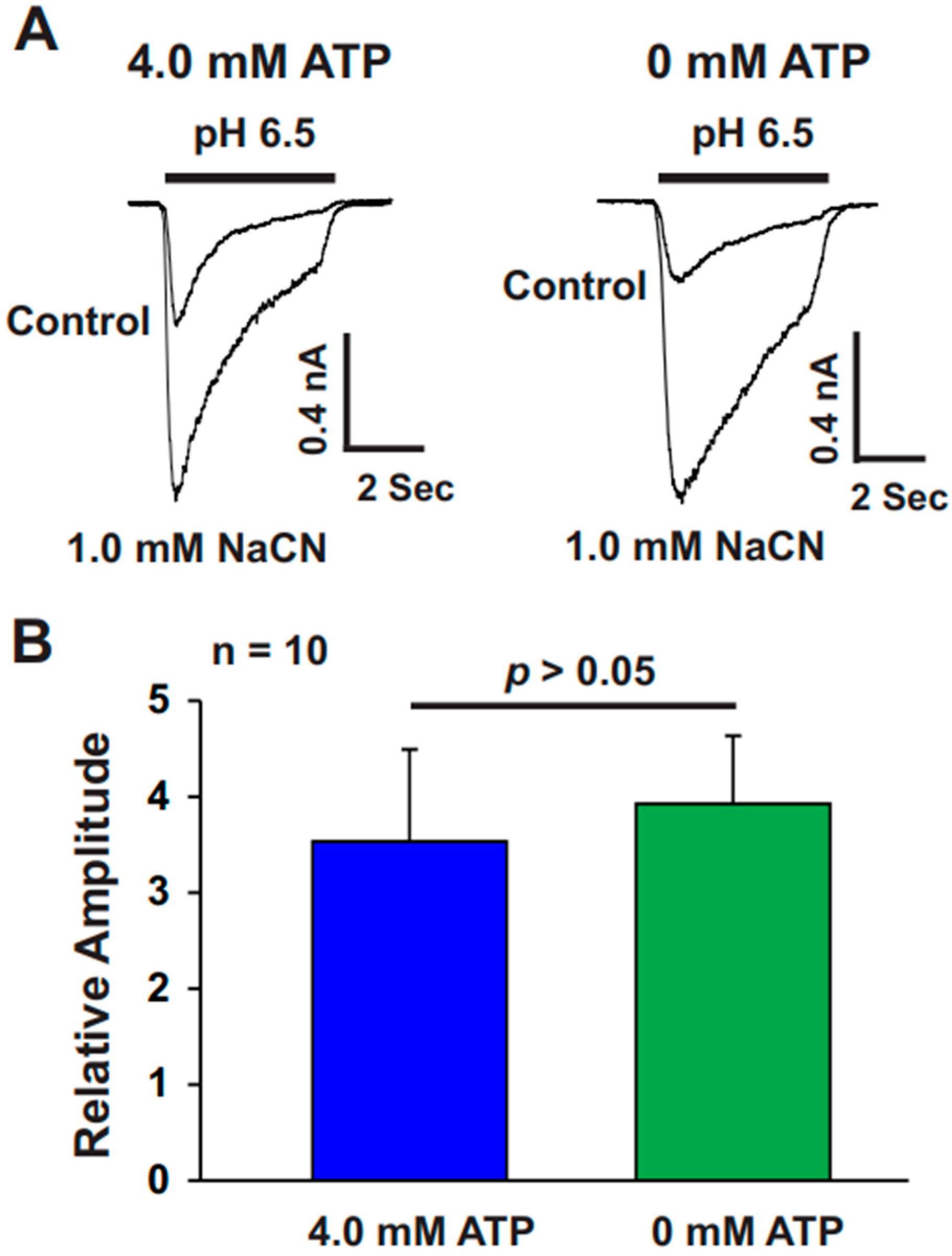 Biomolecules 15 00479 g004