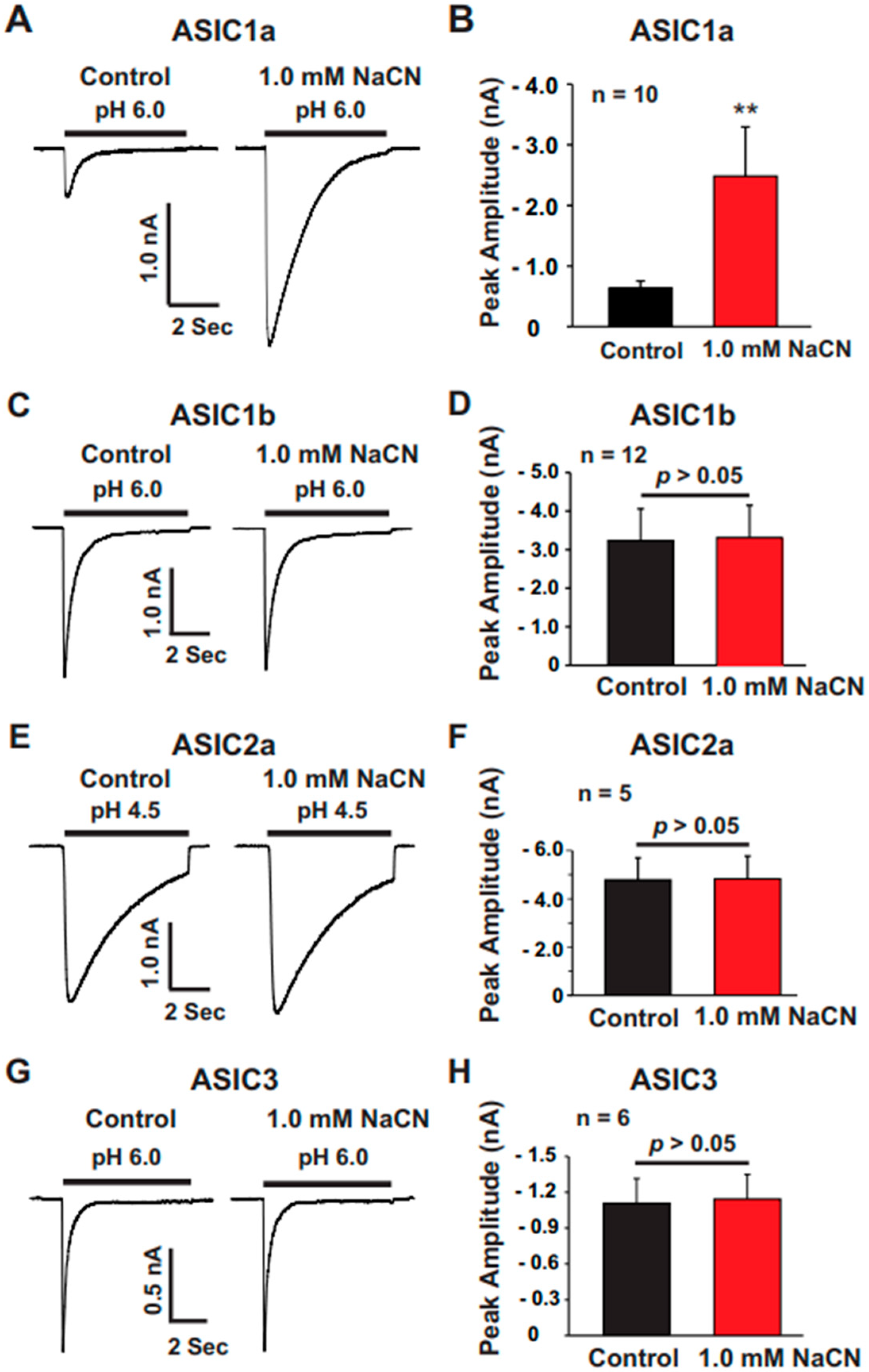Biomolecules 15 00479 g008