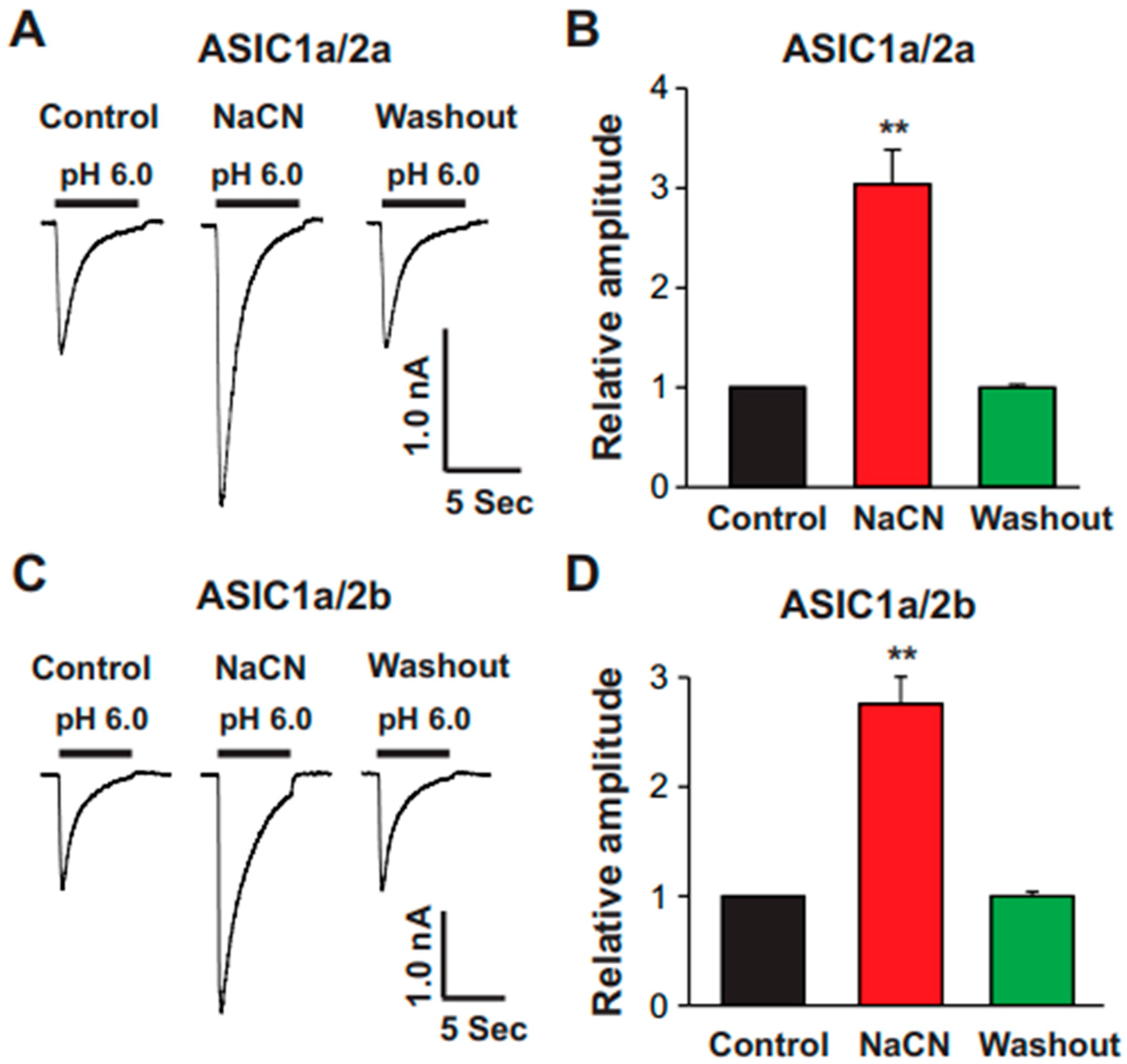 Biomolecules 15 00479 g009