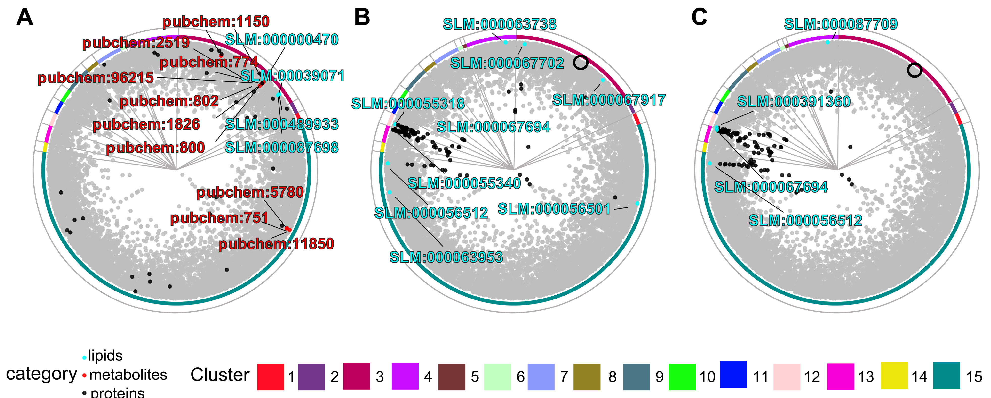 Biomolecules 15 00484 g003