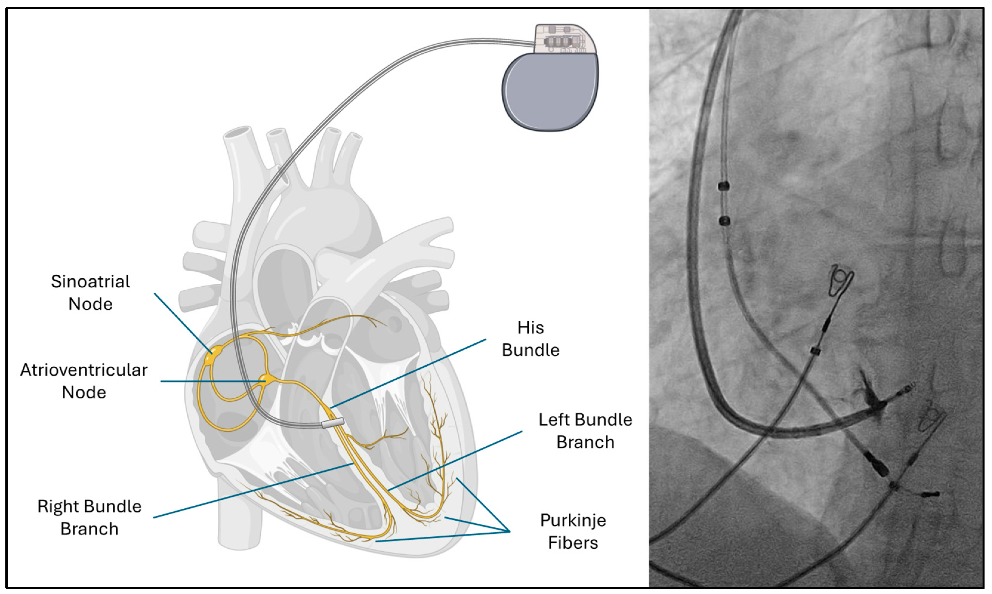 Biomolecules 15 00489 g001 Biomolecules 15 00489 g001