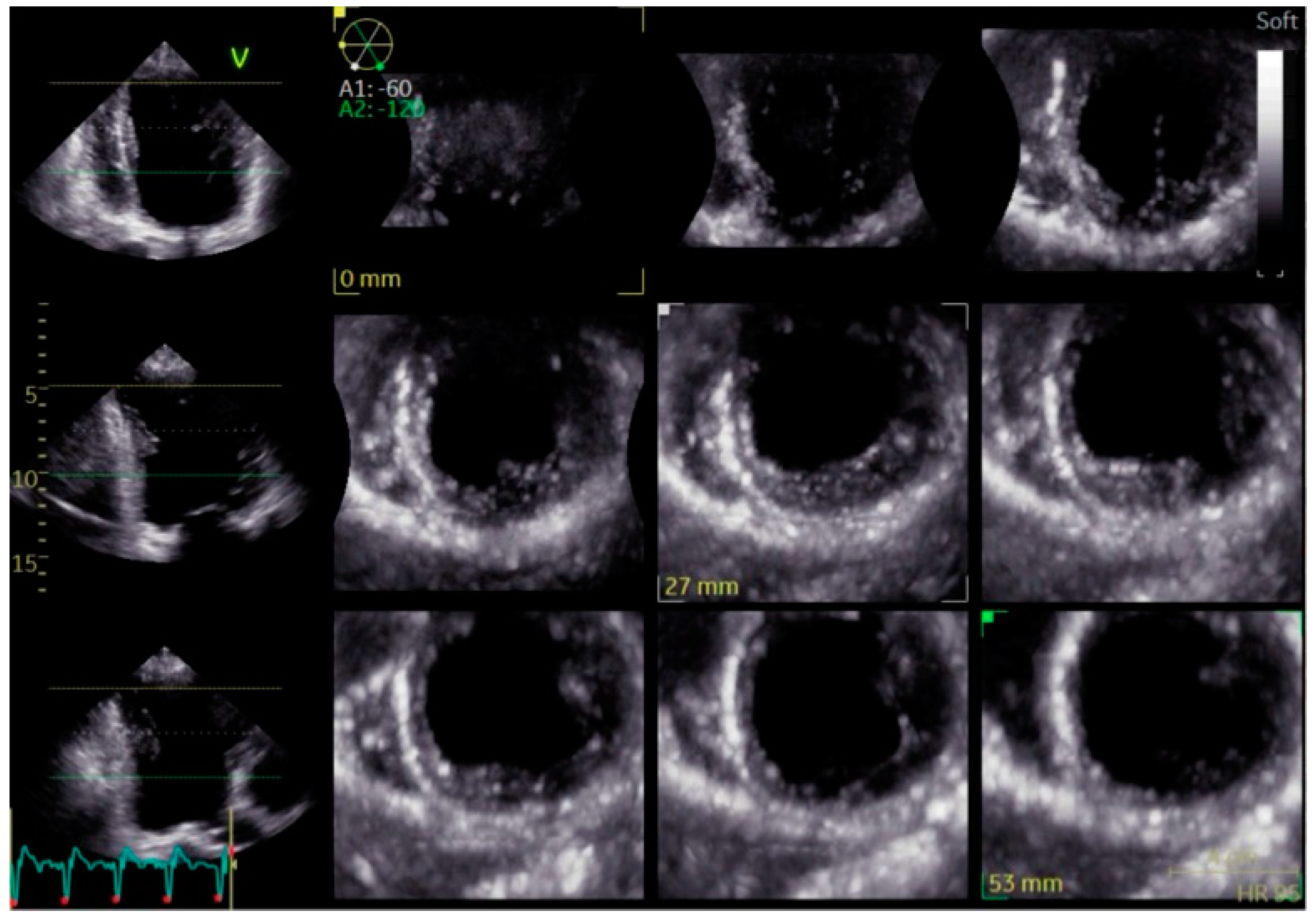 Biomolecules 15 00489 g007 Biomolecules 15 00489 g007