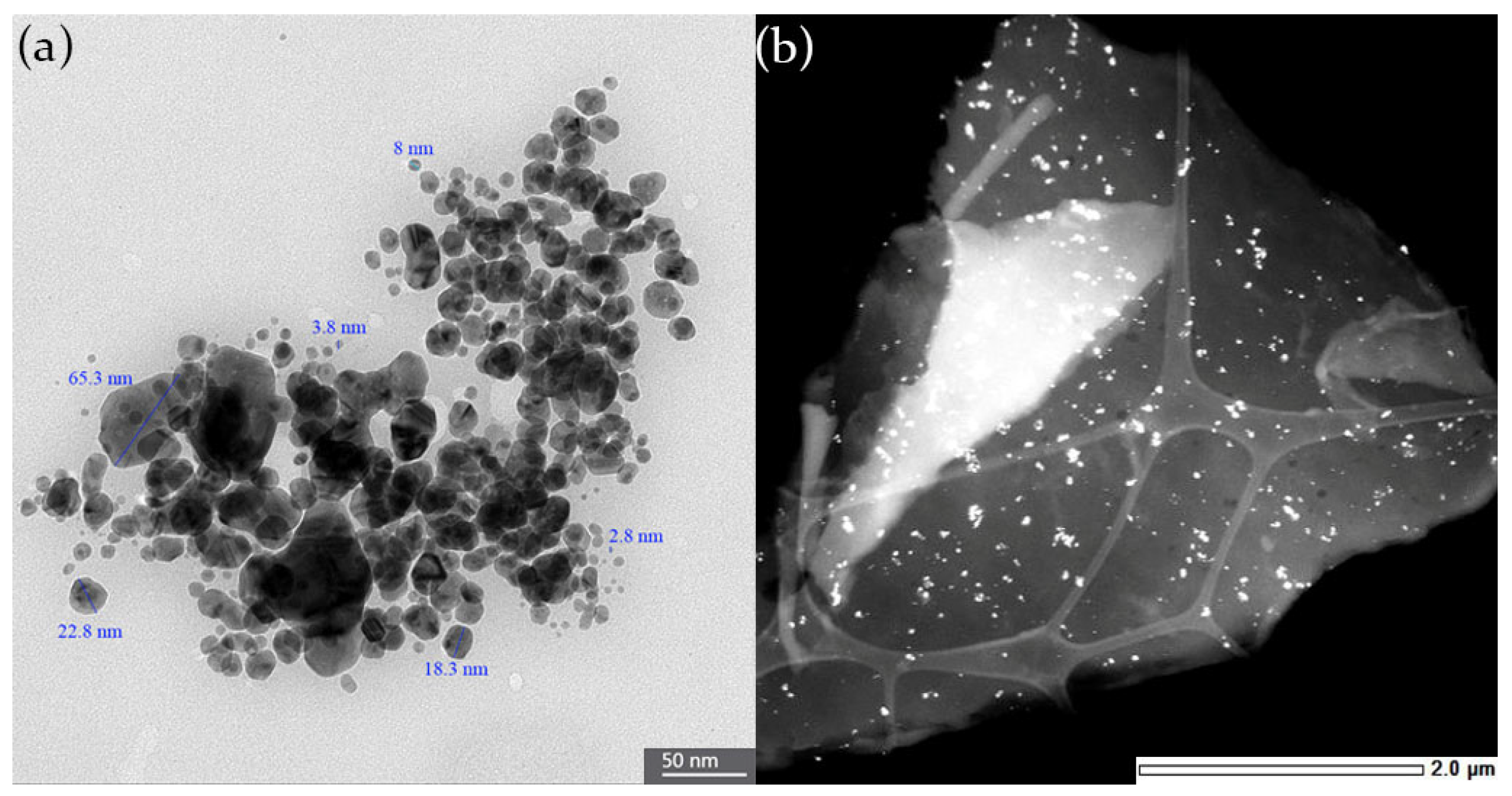 Biomolecules 15 00490 g004