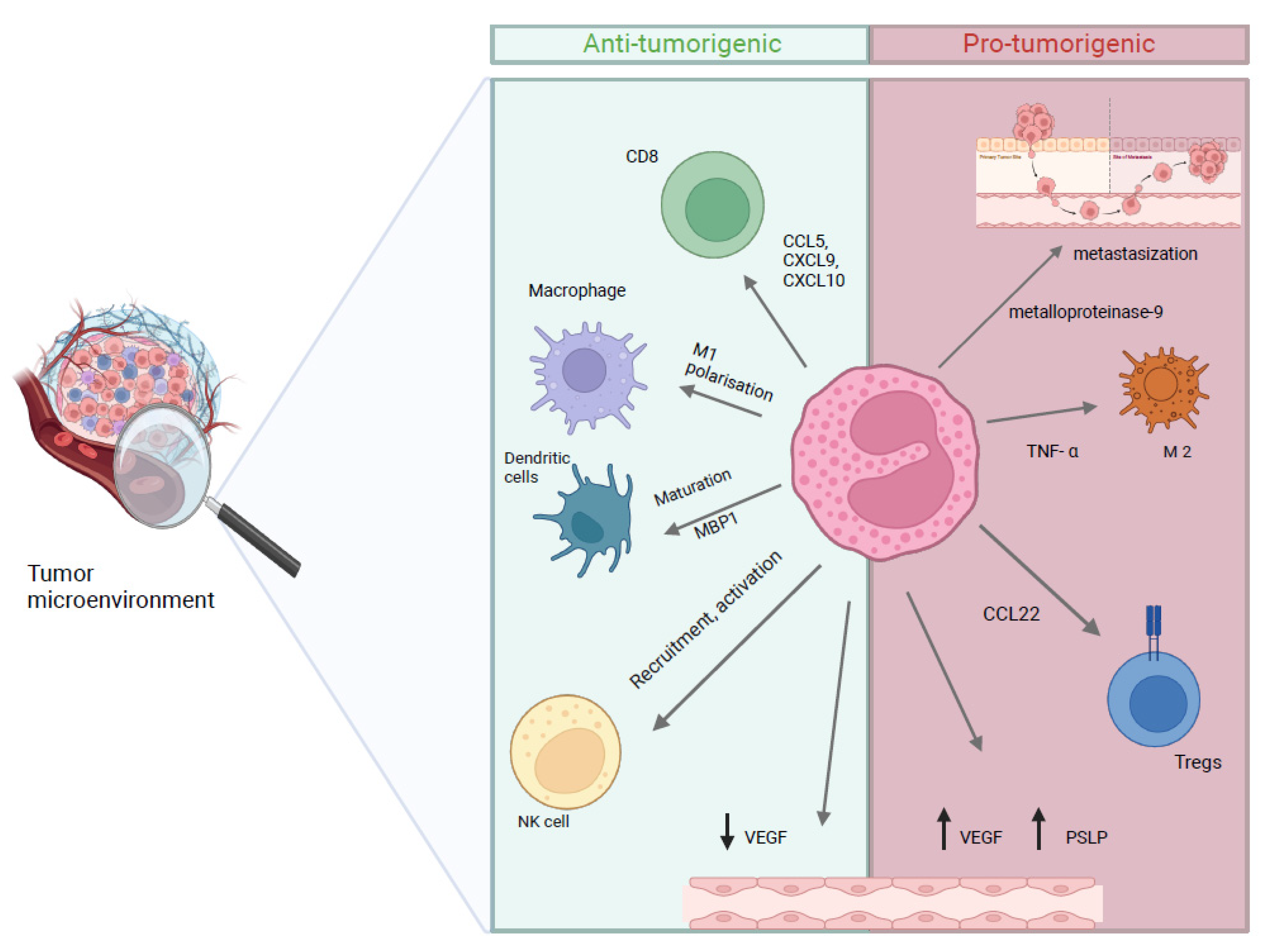 Biomolecules 15 00491 g002