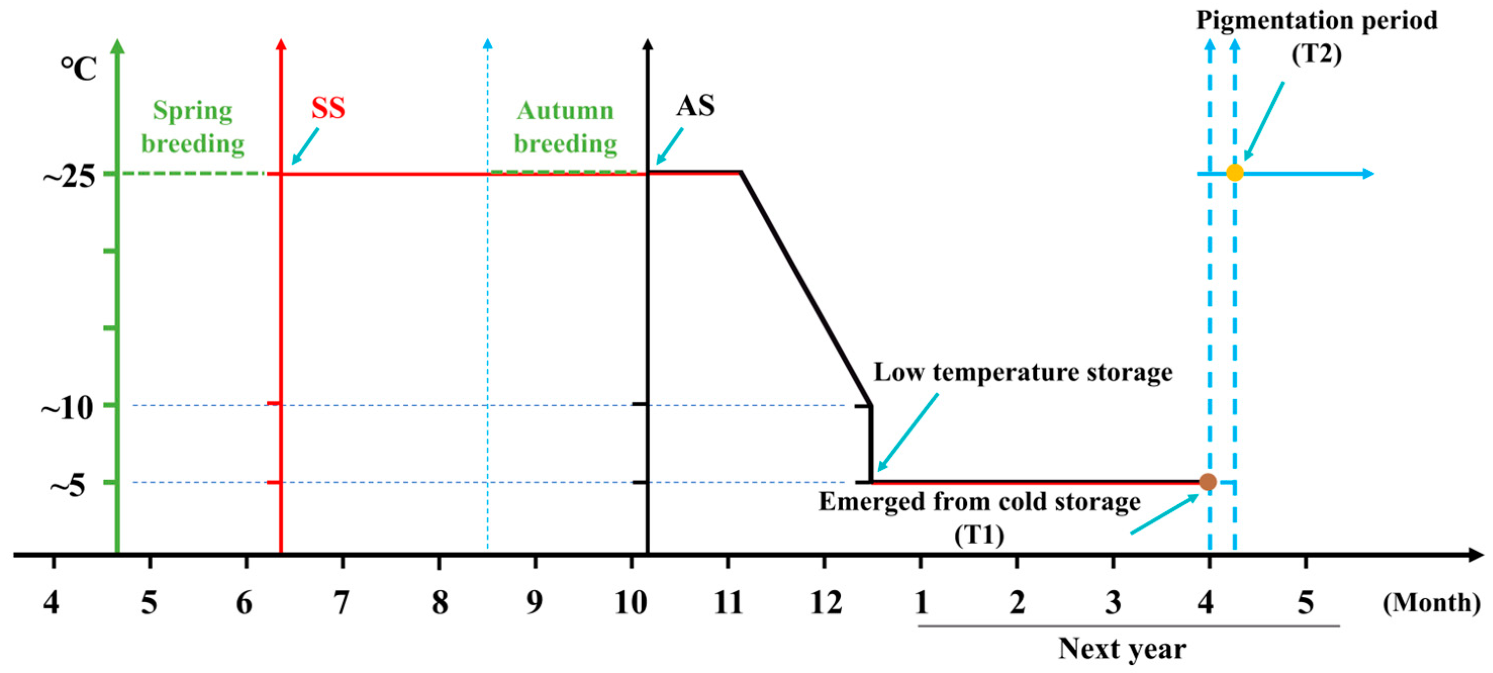 Biomolecules 15 00492 g001 Biomolecules 15 00492 g001